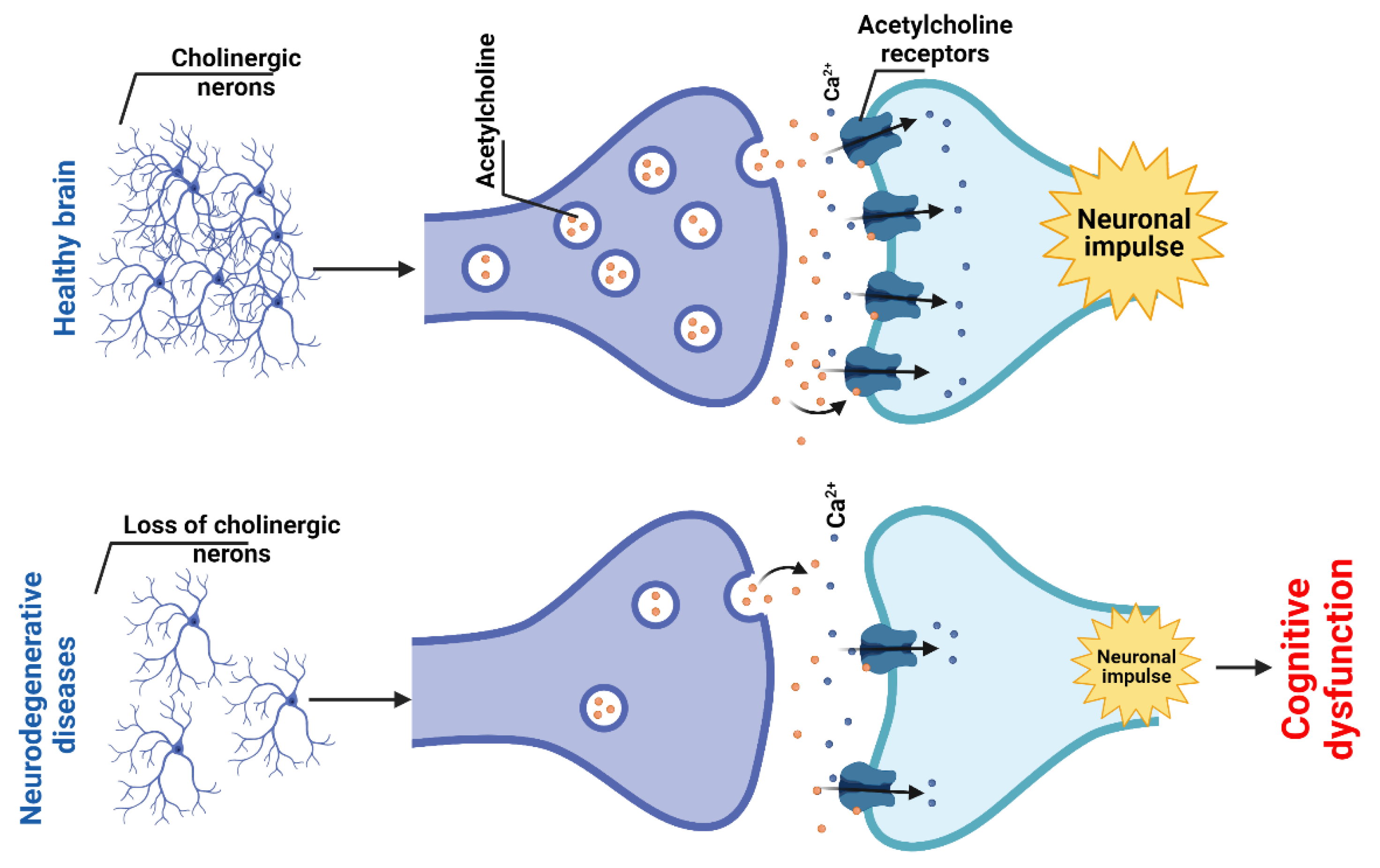 Marinedrugs 20 00708 g004 Marinedrugs 20 00708 g004