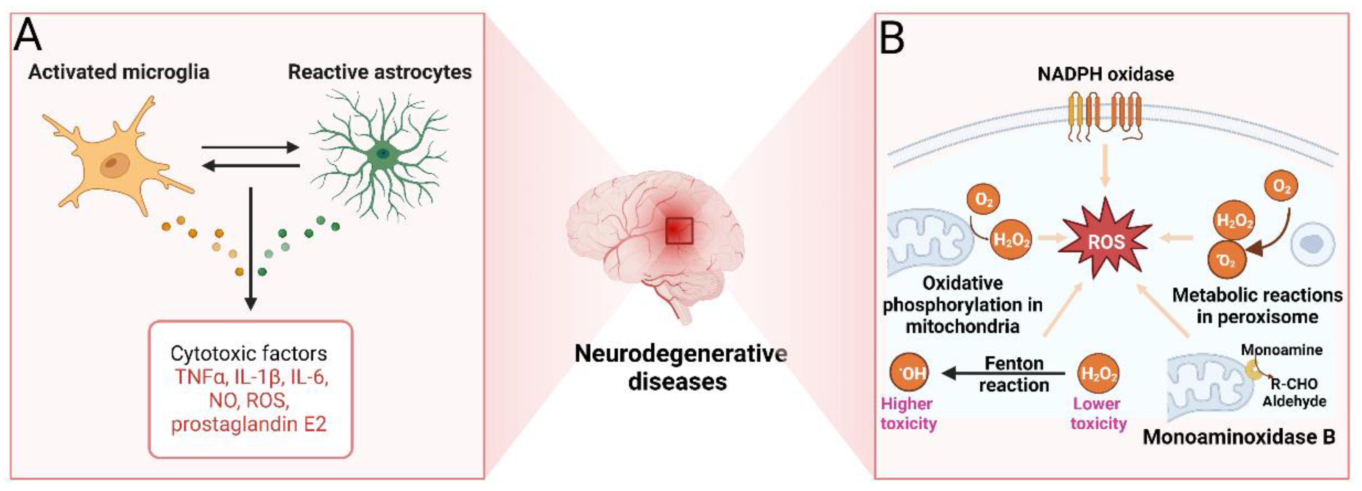 Marinedrugs 20 00708 g005 Marinedrugs 20 00708 g005