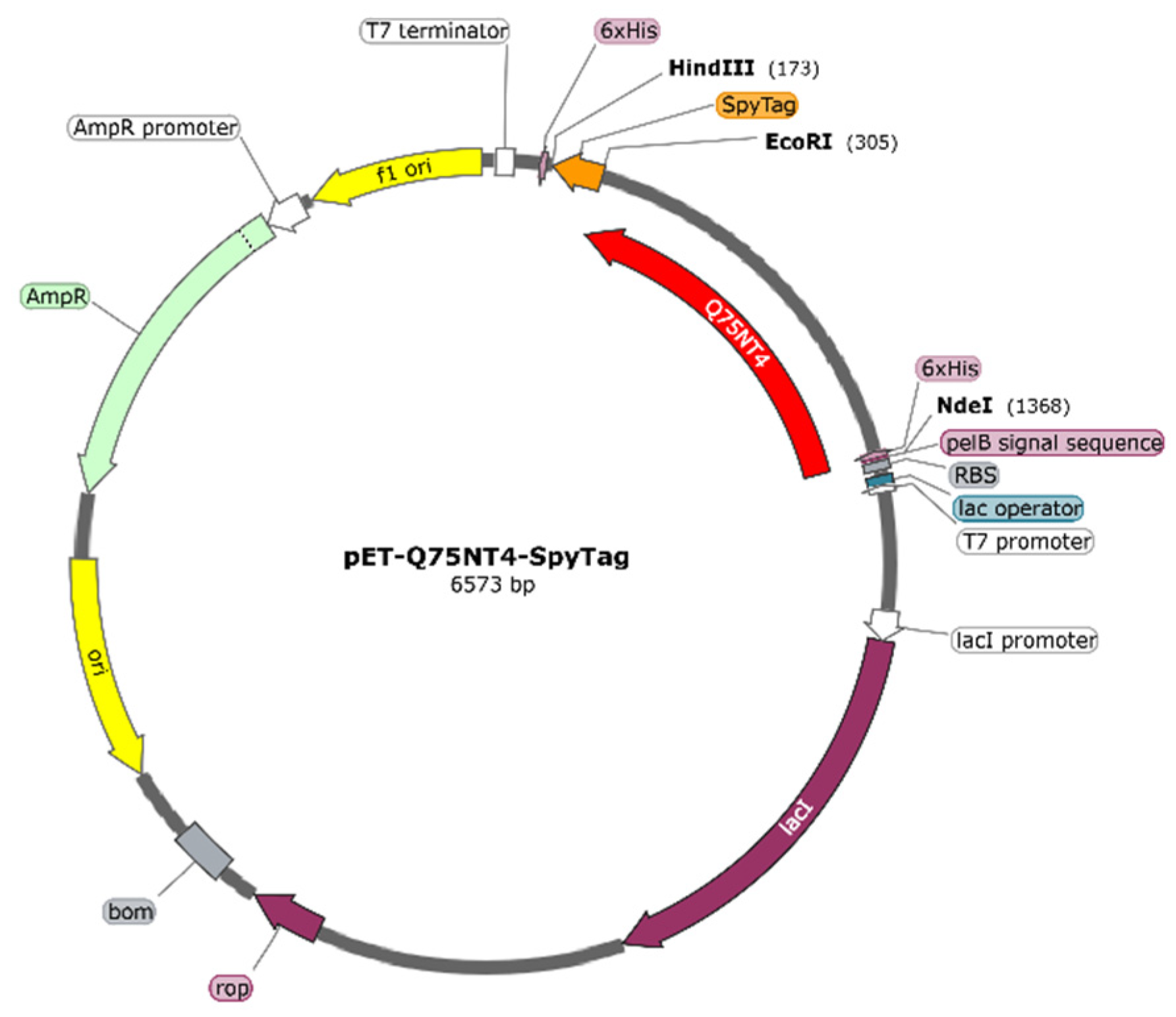 Marinedrugs 20 00709 g003 Marinedrugs 20 00709 g003
