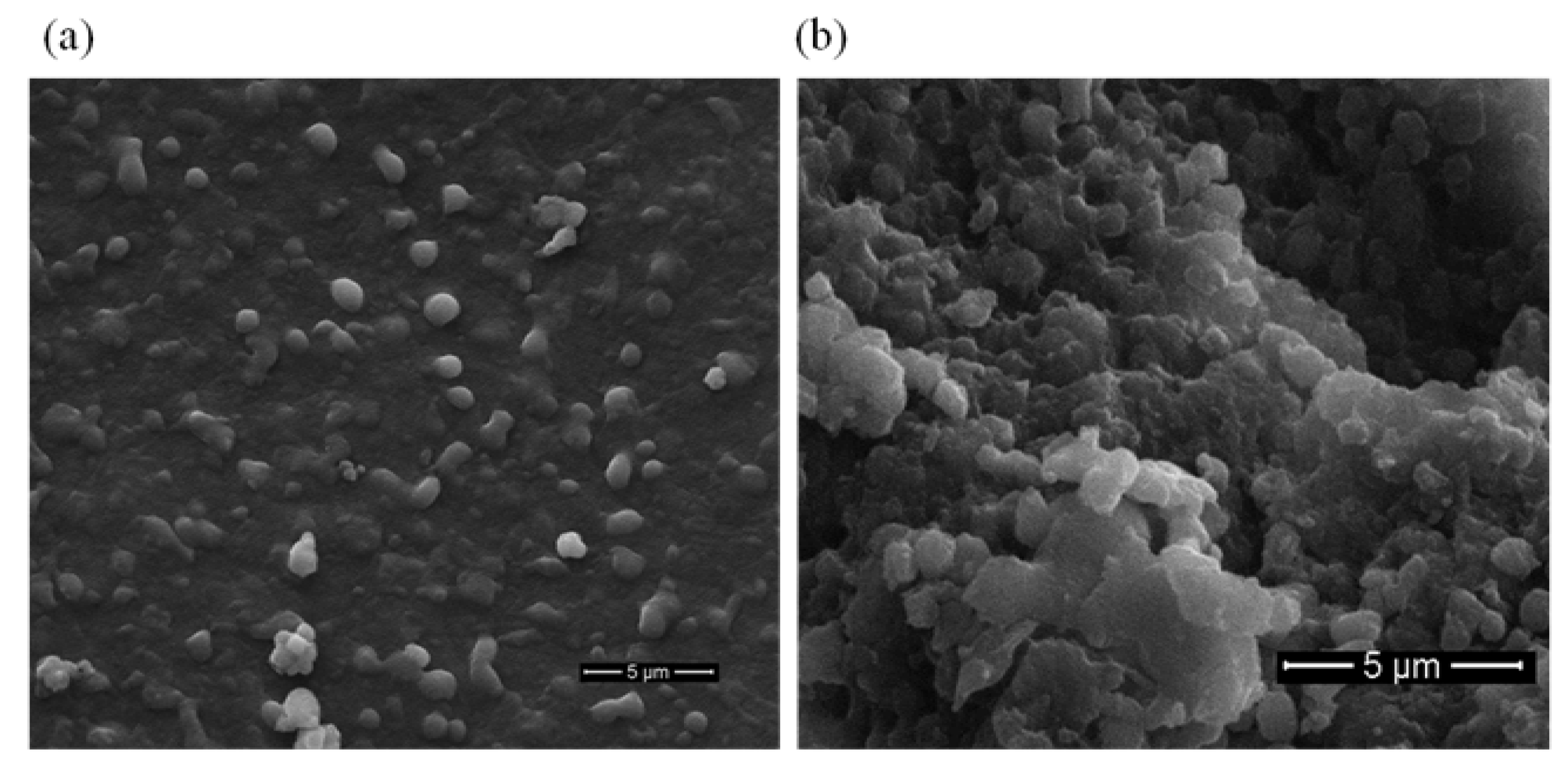 Marinedrugs 20 00709 g006 Marinedrugs 20 00709 g006