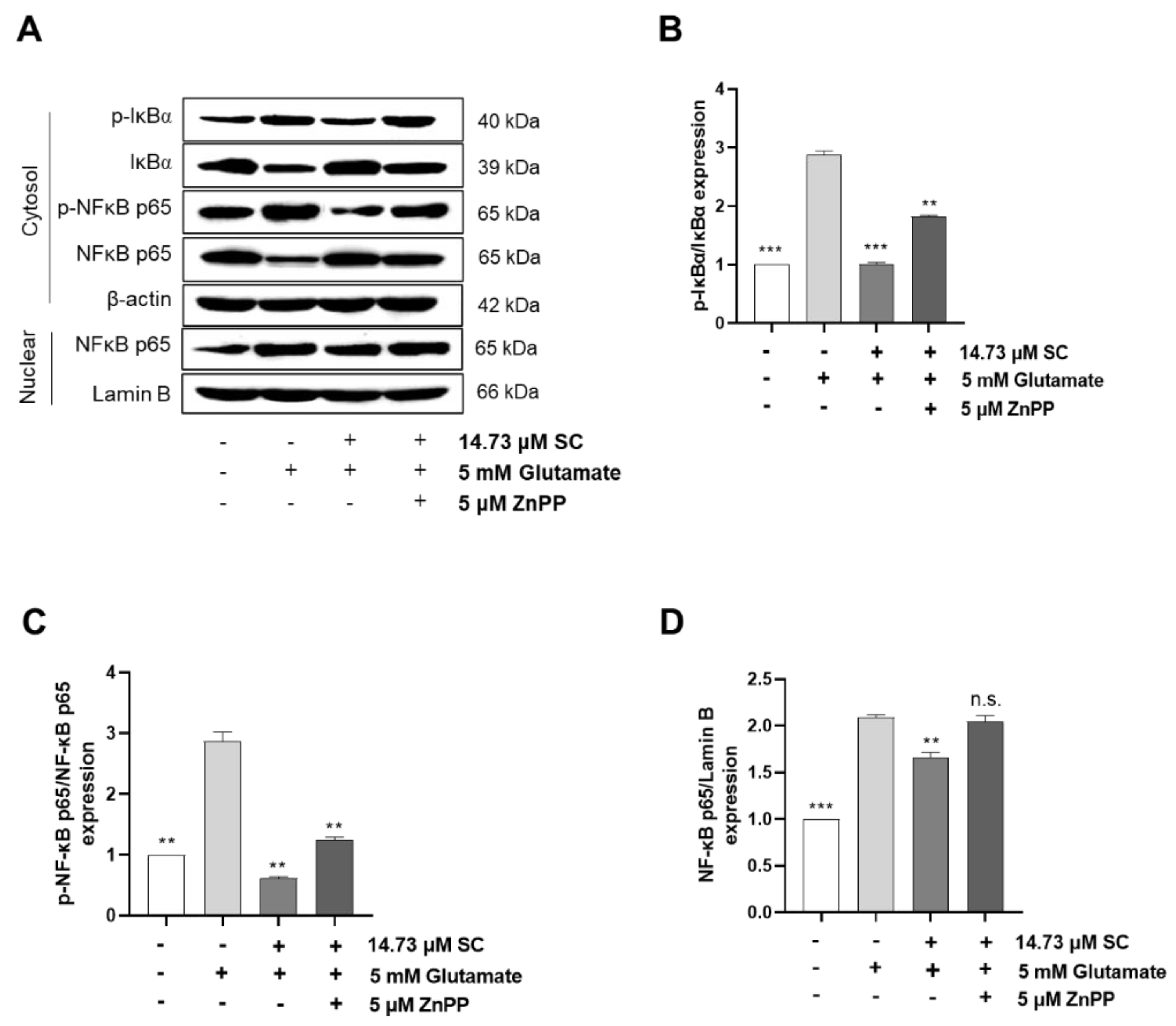 Marinedrugs 20 00710 g007