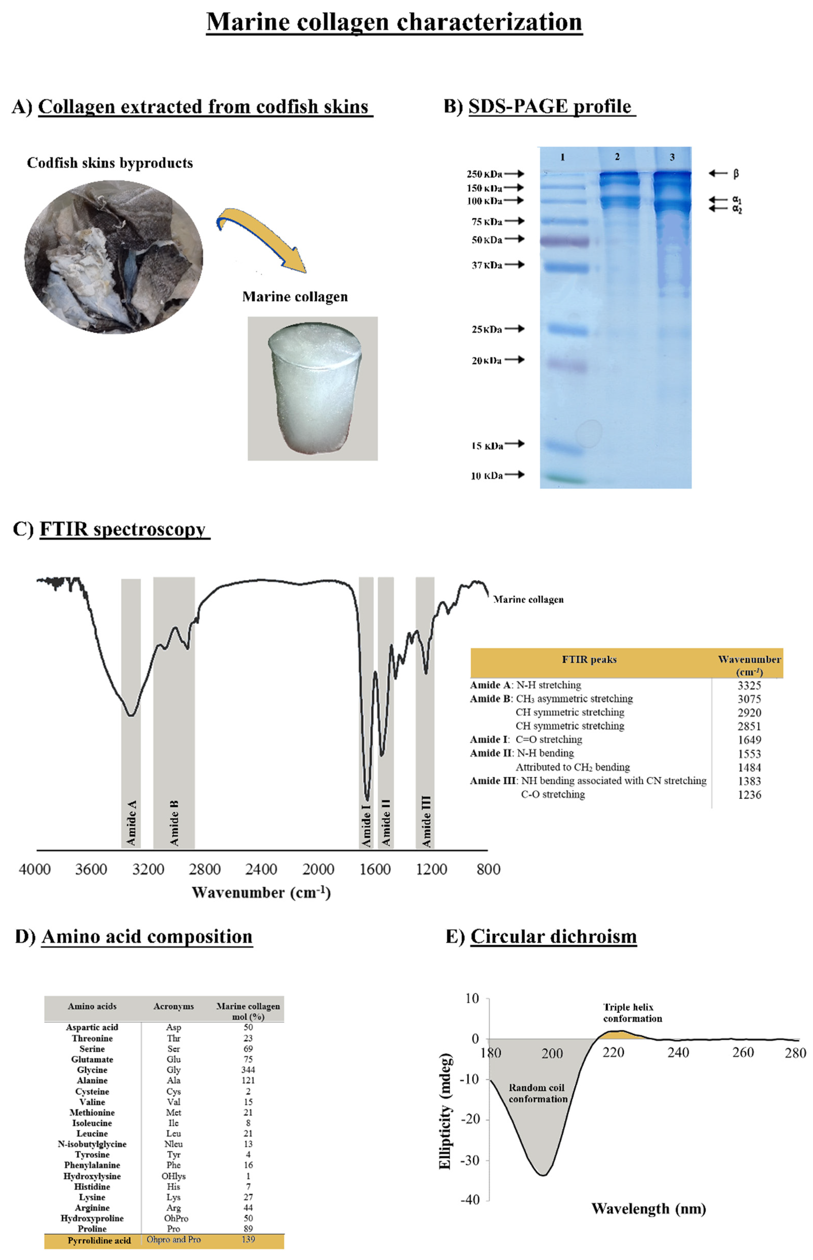 Marinedrugs 20 00718 g001 Marinedrugs 20 00718 g001