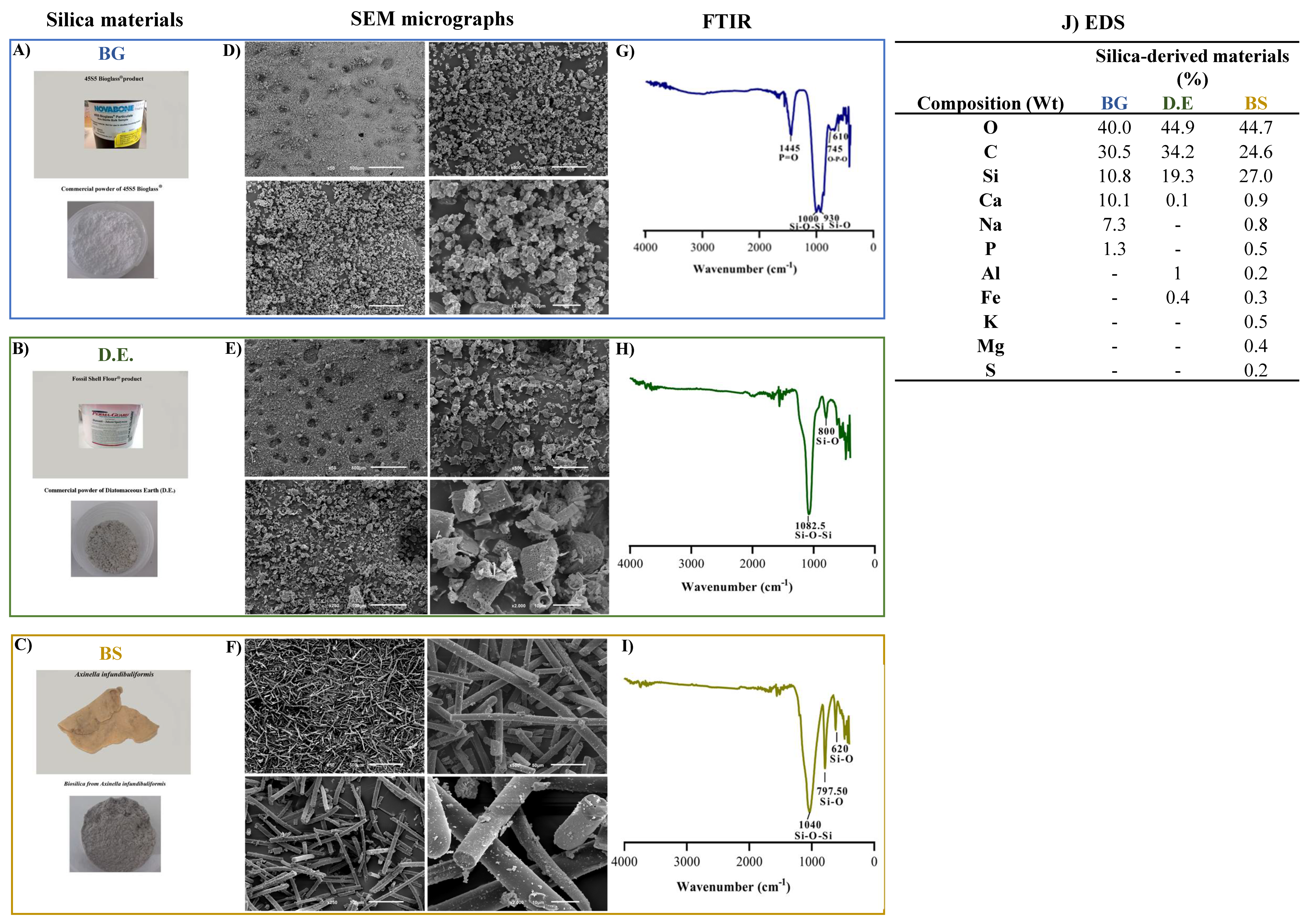 Marinedrugs 20 00718 g002 Marinedrugs 20 00718 g002