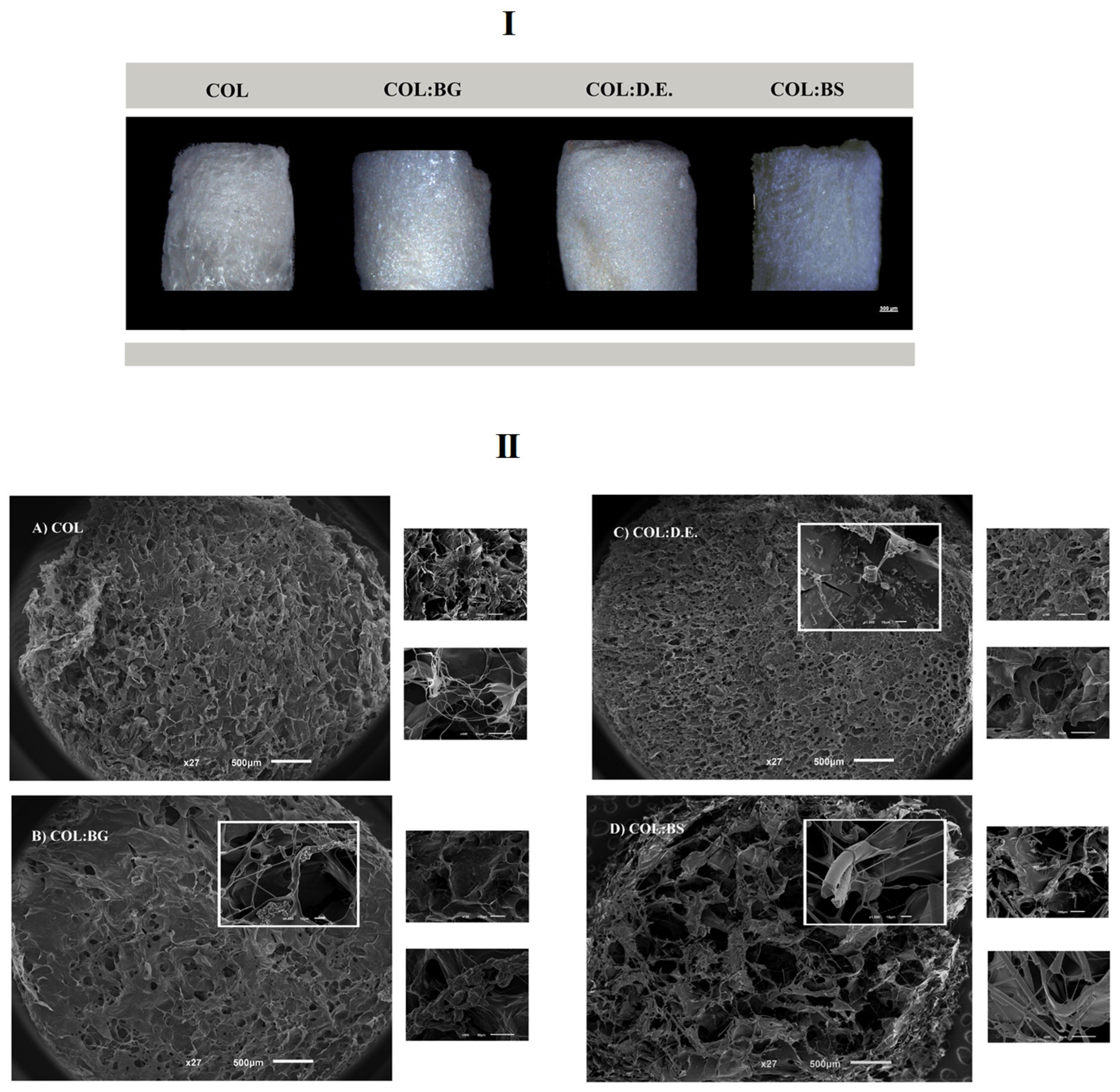 Marinedrugs 20 00718 g003 Marinedrugs 20 00718 g003