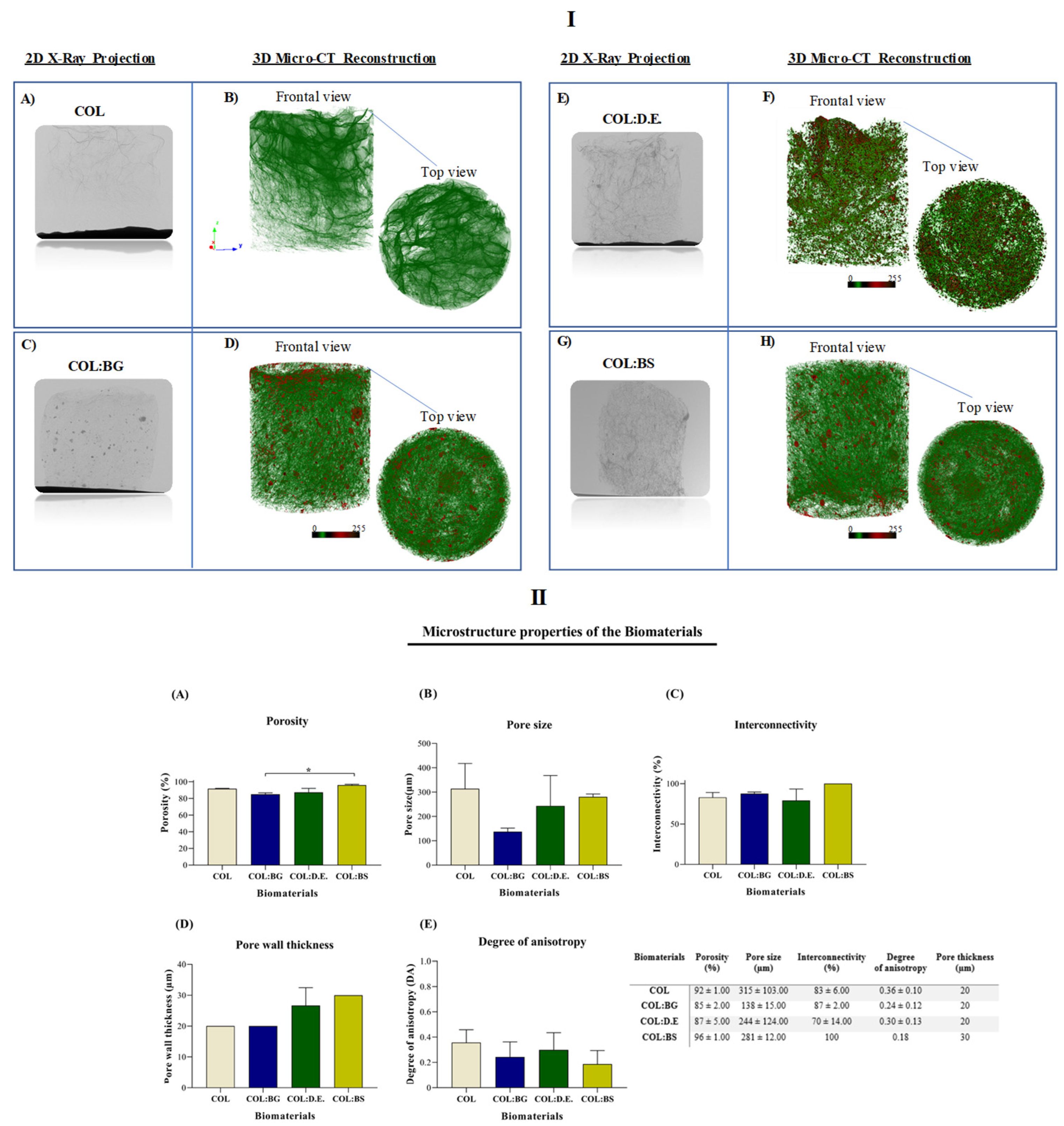 Marinedrugs 20 00718 g004 Marinedrugs 20 00718 g004