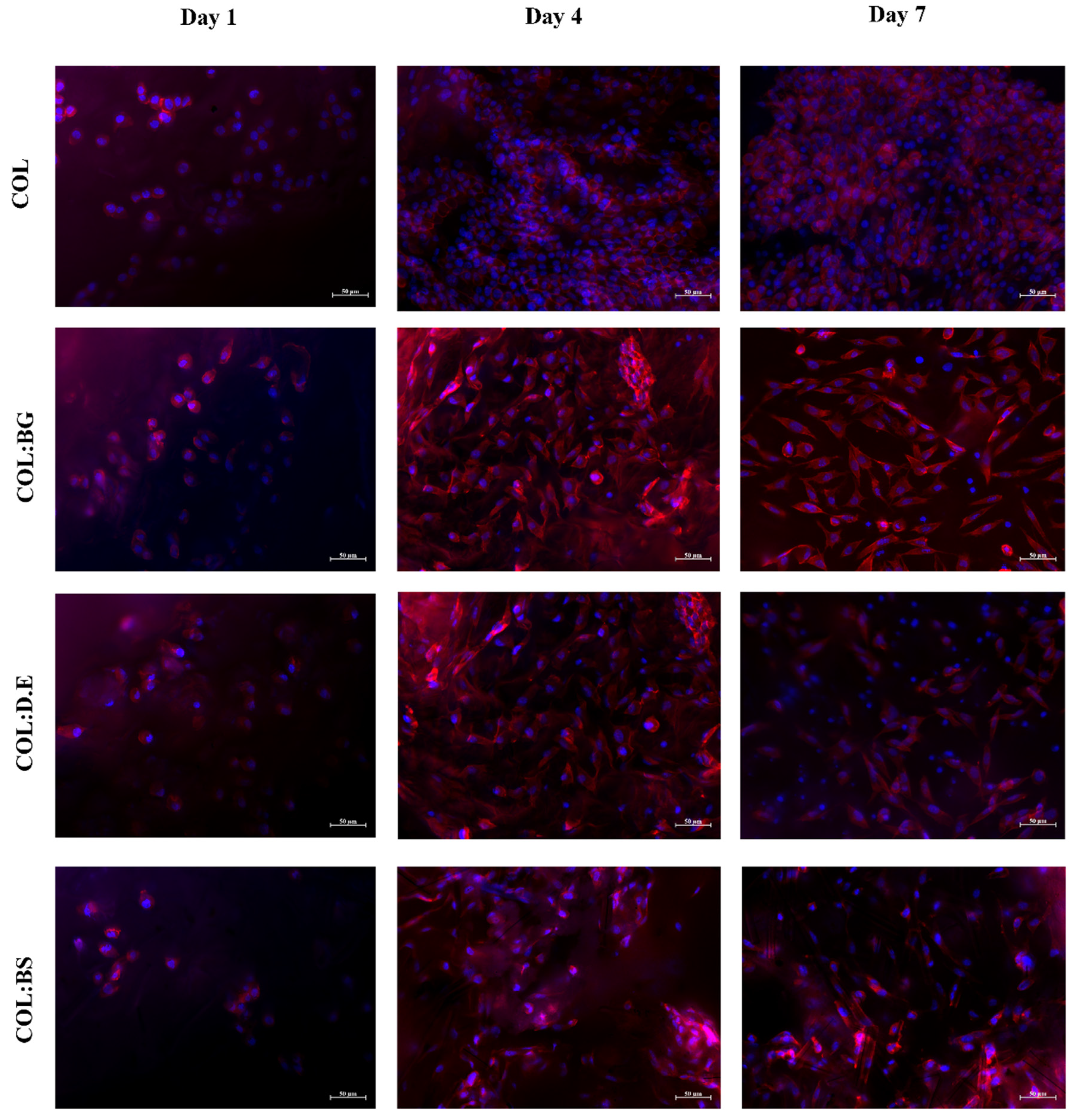 Marinedrugs 20 00718 g008 Marinedrugs 20 00718 g008