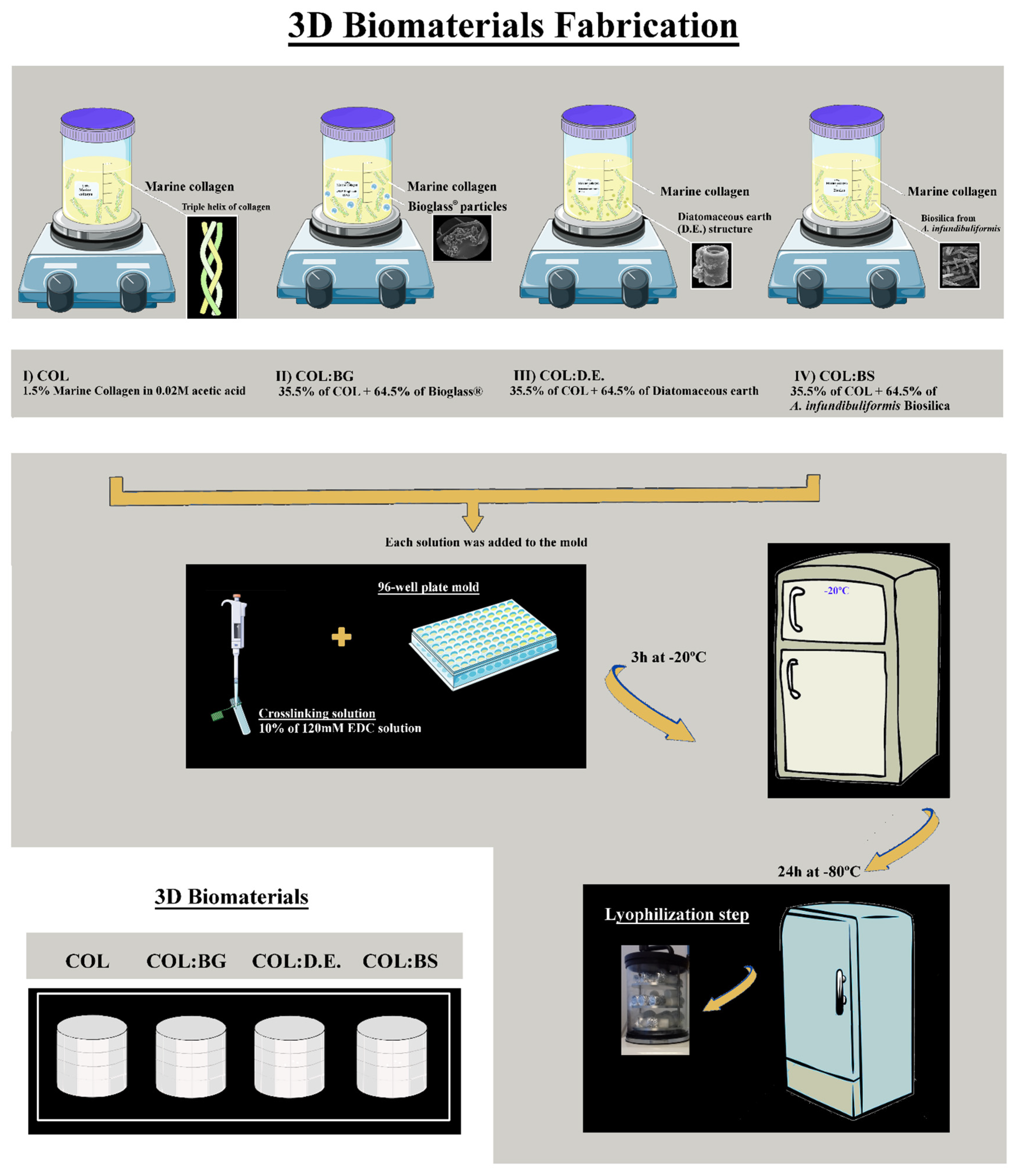 Marinedrugs 20 00718 g010 Marinedrugs 20 00718 g010