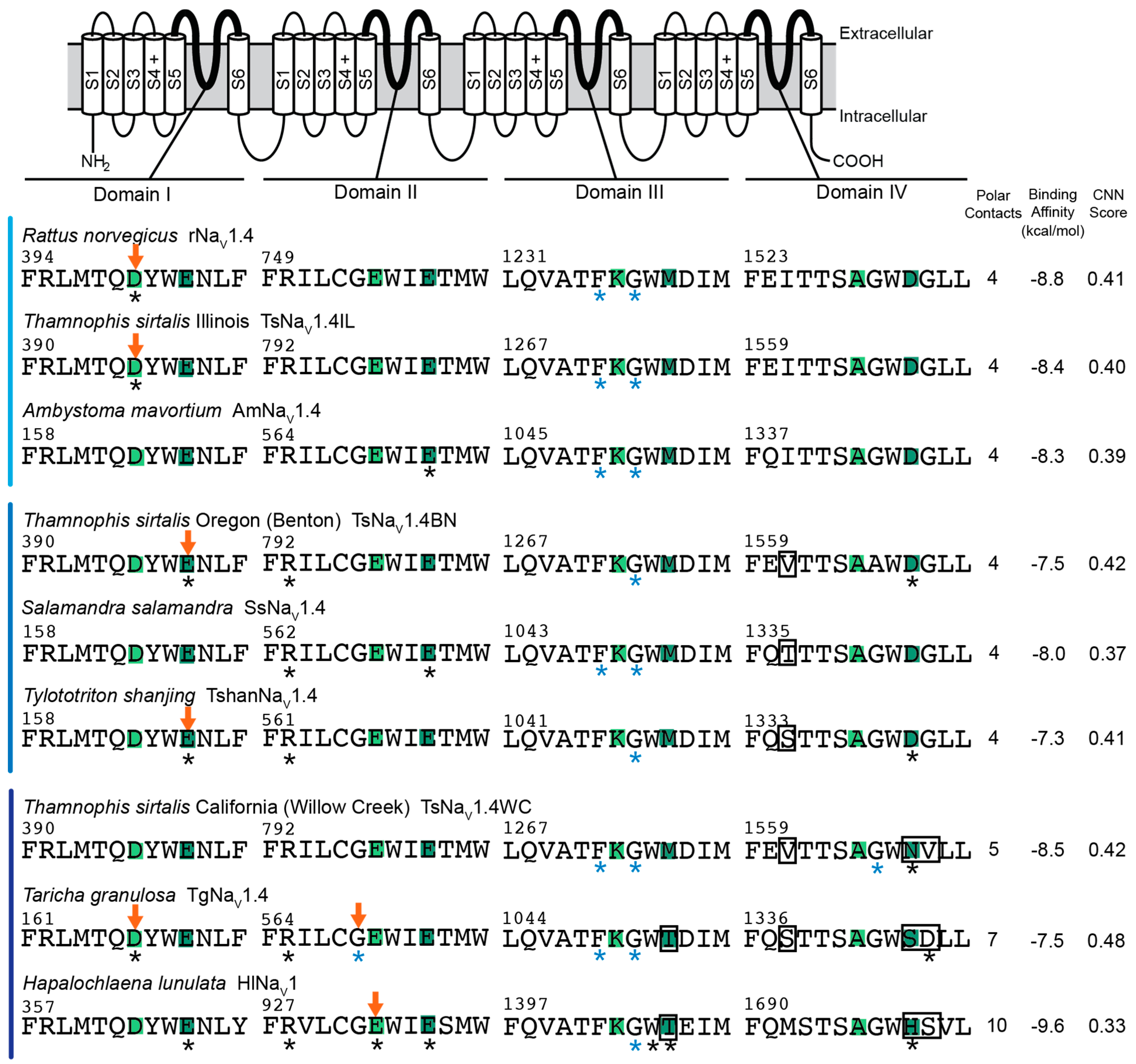 Marinedrugs 20 00723 g002 Marinedrugs 20 00723 g002