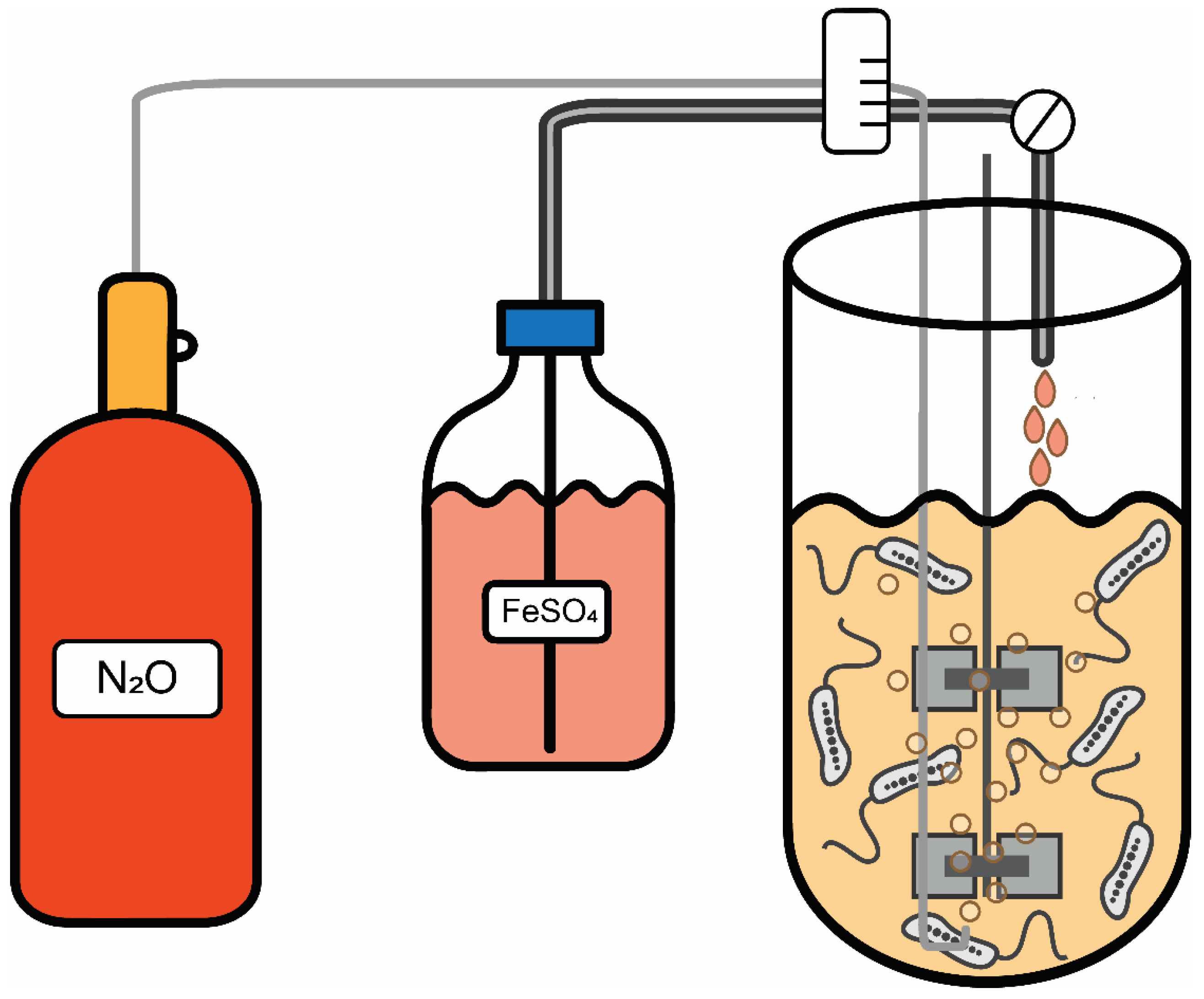 Marinedrugs 20 00724 g0a1