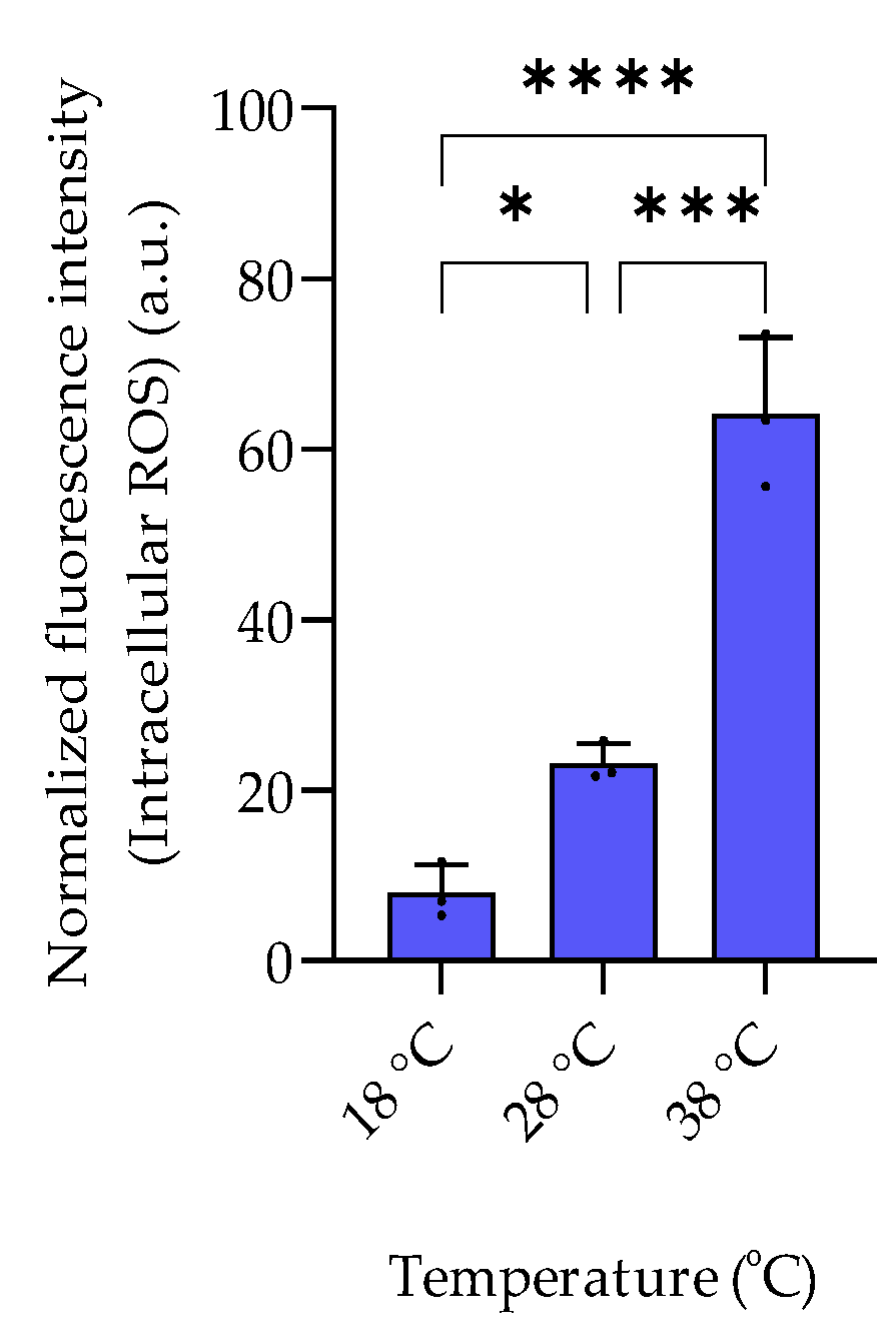 Marinedrugs 20 00727 g005 Marinedrugs 20 00727 g005