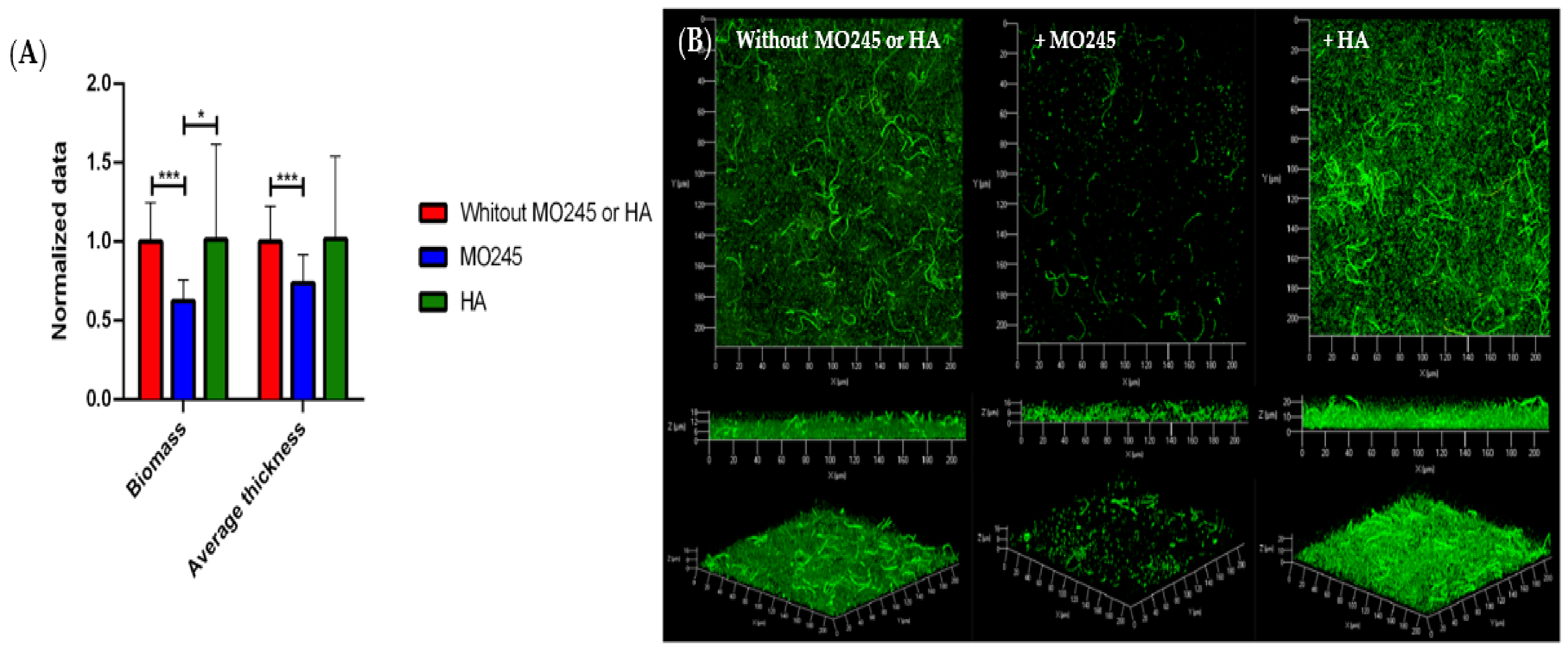 Marinedrugs 20 00728 g004 Marinedrugs 20 00728 g004