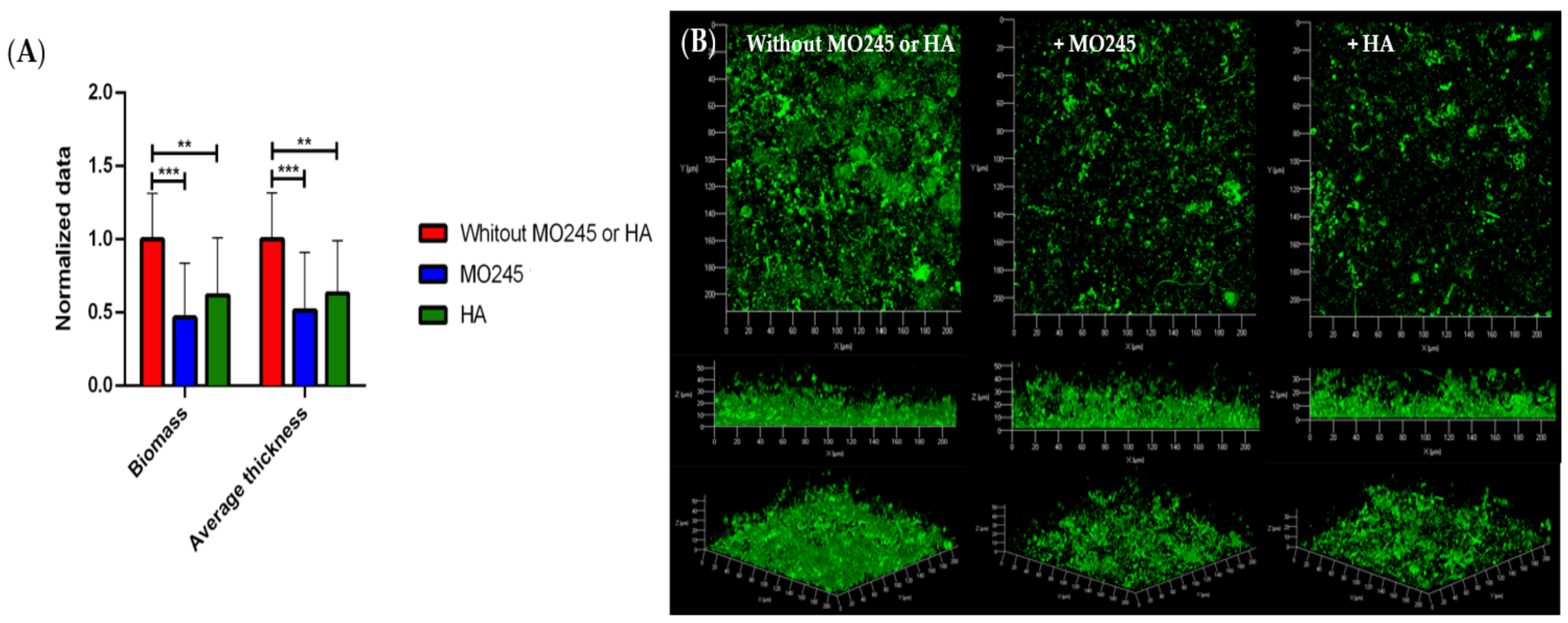 Marinedrugs 20 00728 g005 Marinedrugs 20 00728 g005