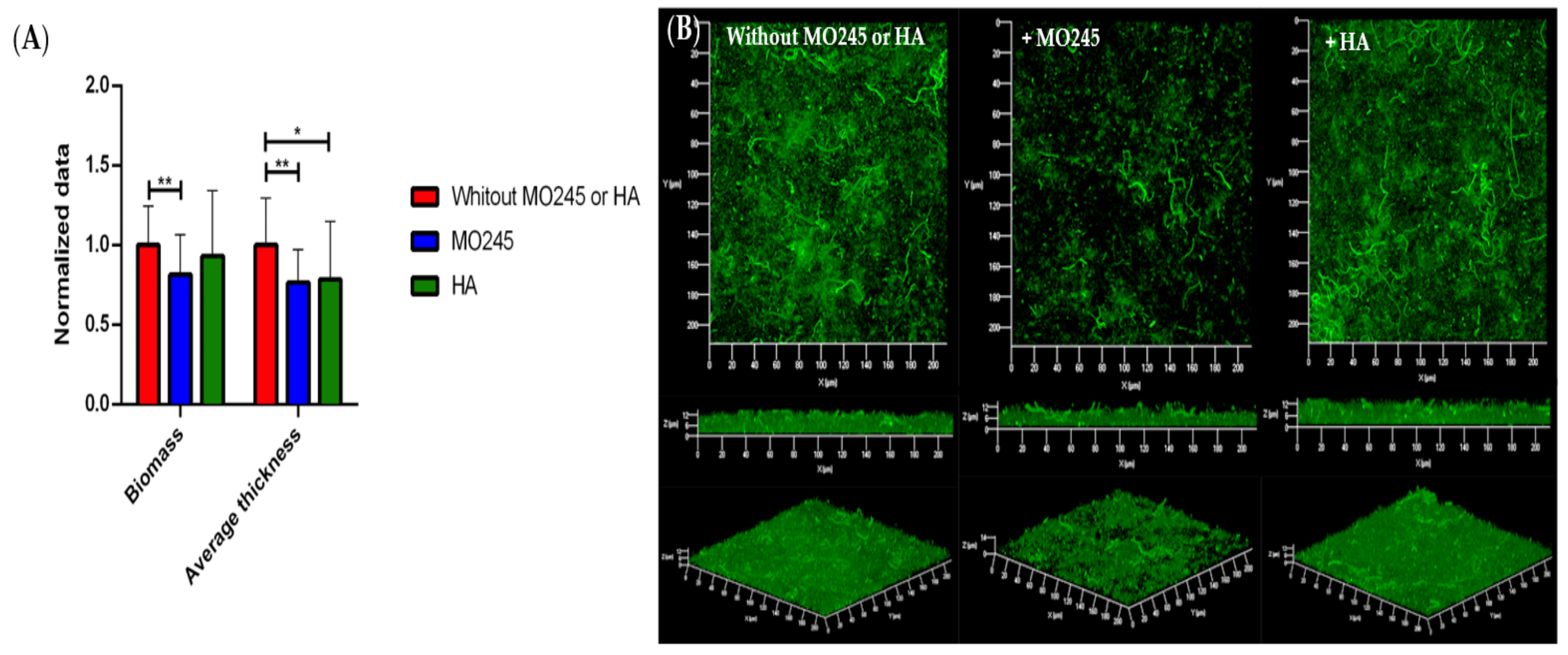 Marinedrugs 20 00728 g006 Marinedrugs 20 00728 g006