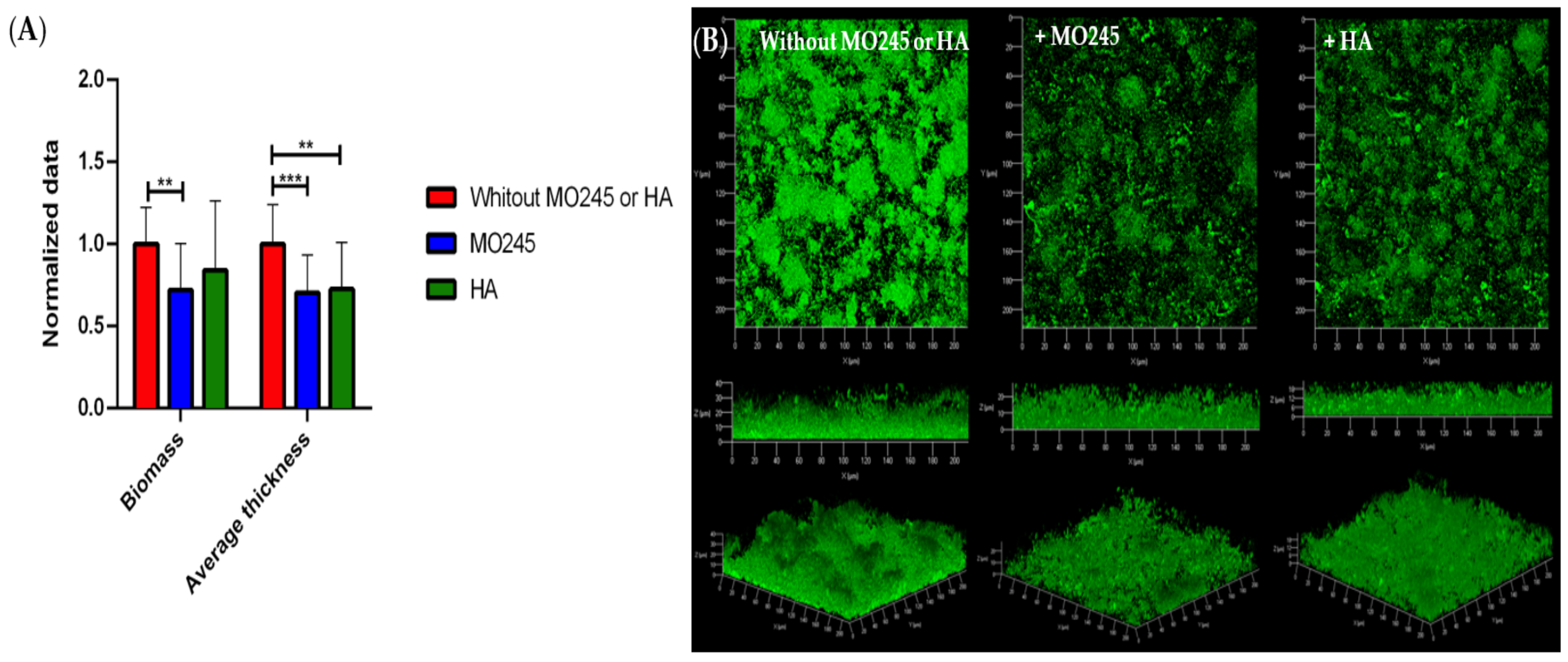 Marinedrugs 20 00728 g007 Marinedrugs 20 00728 g007