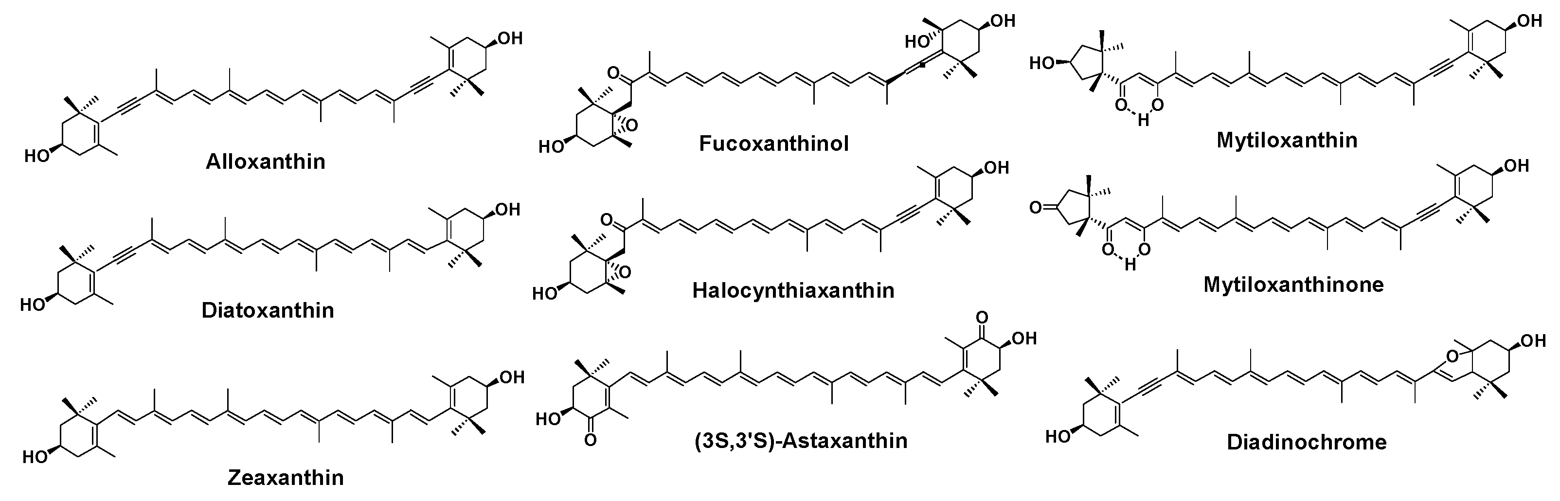 Marinedrugs 20 00732 g001