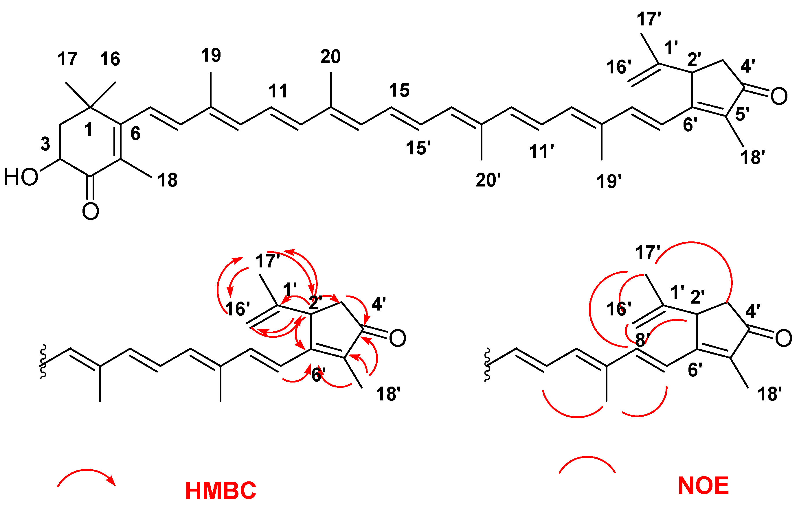 Marinedrugs 20 00732 g002