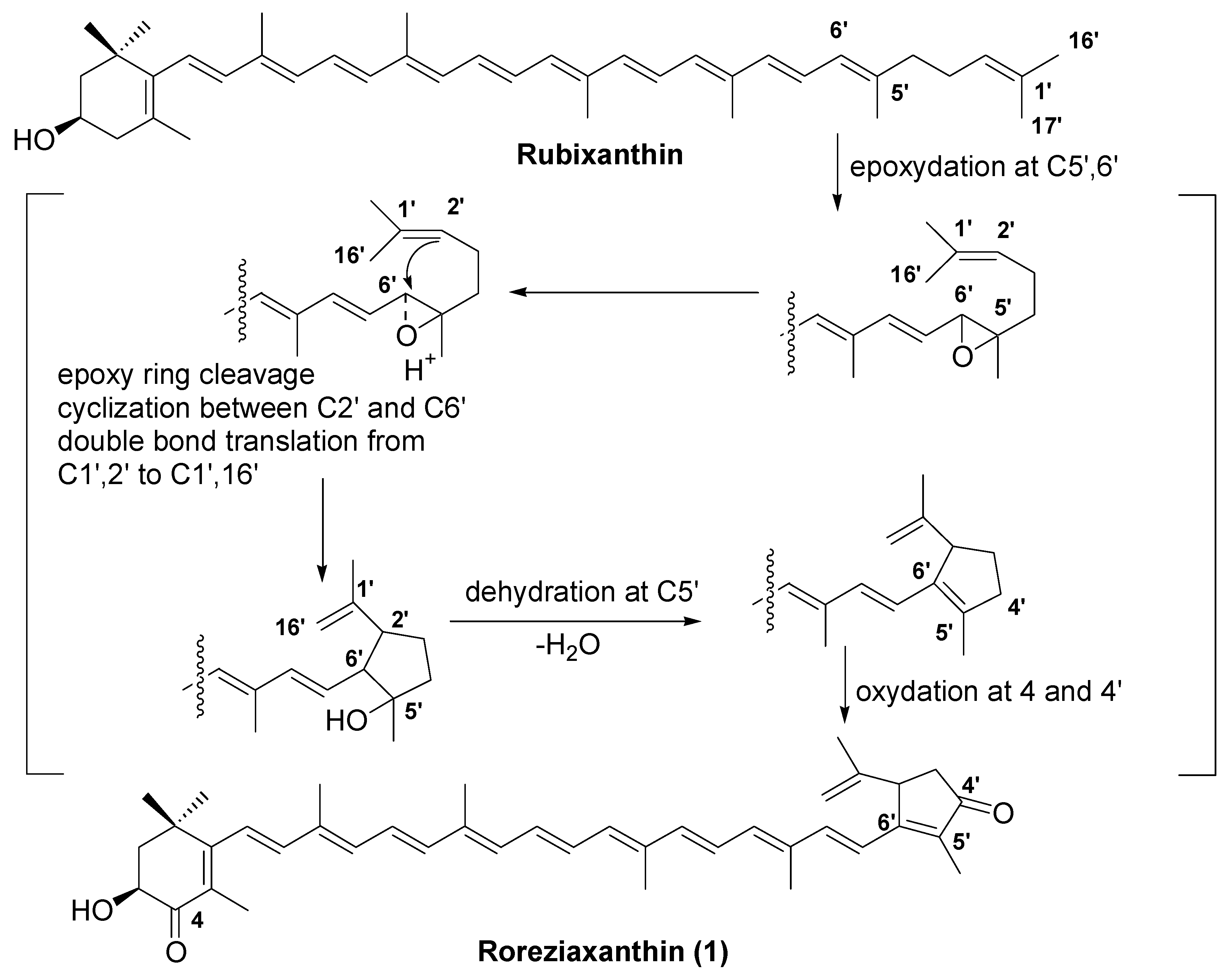 Marinedrugs 20 00732 g003