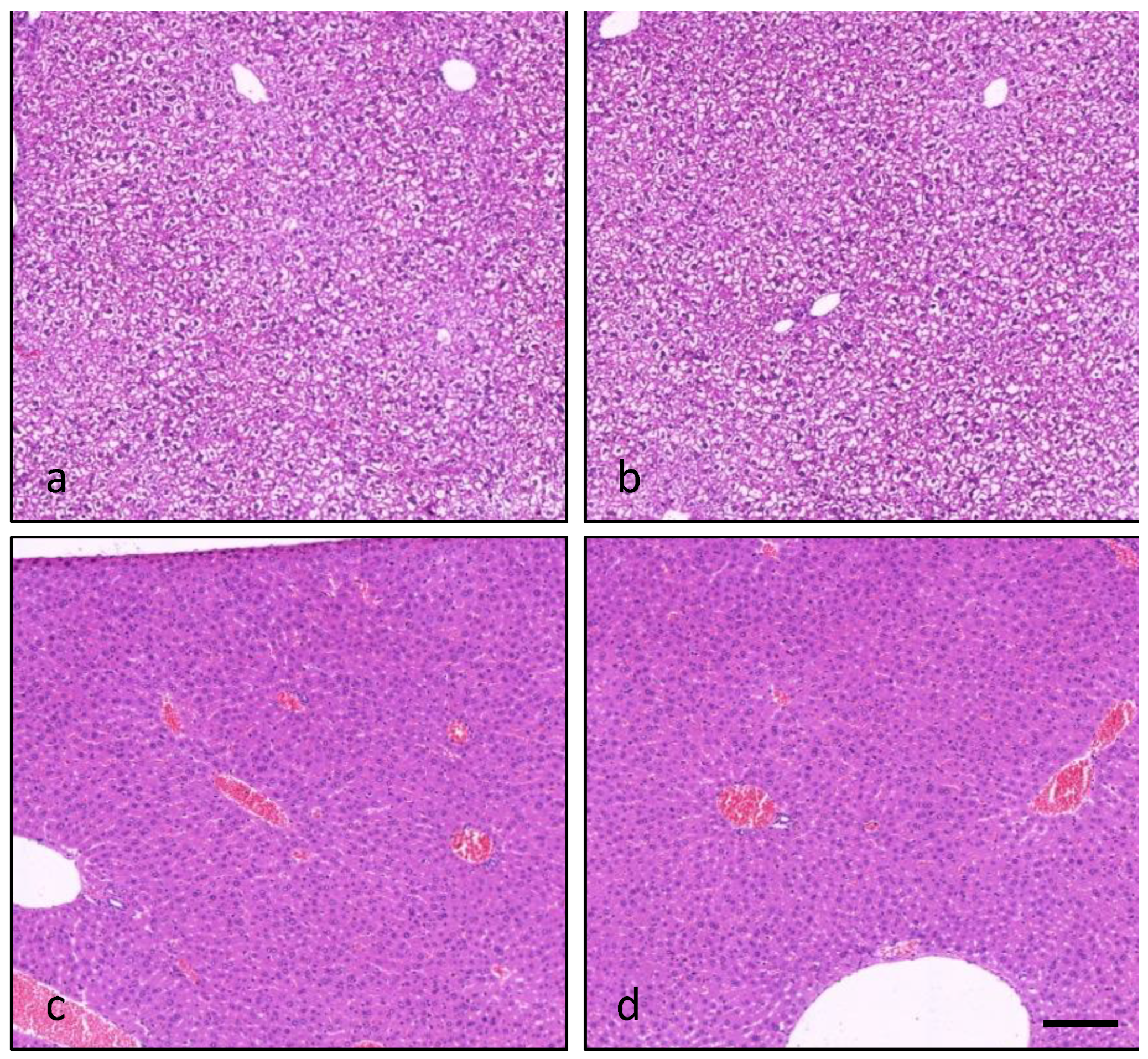 Marinedrugs 20 00735 g005 Marinedrugs 20 00735 g005