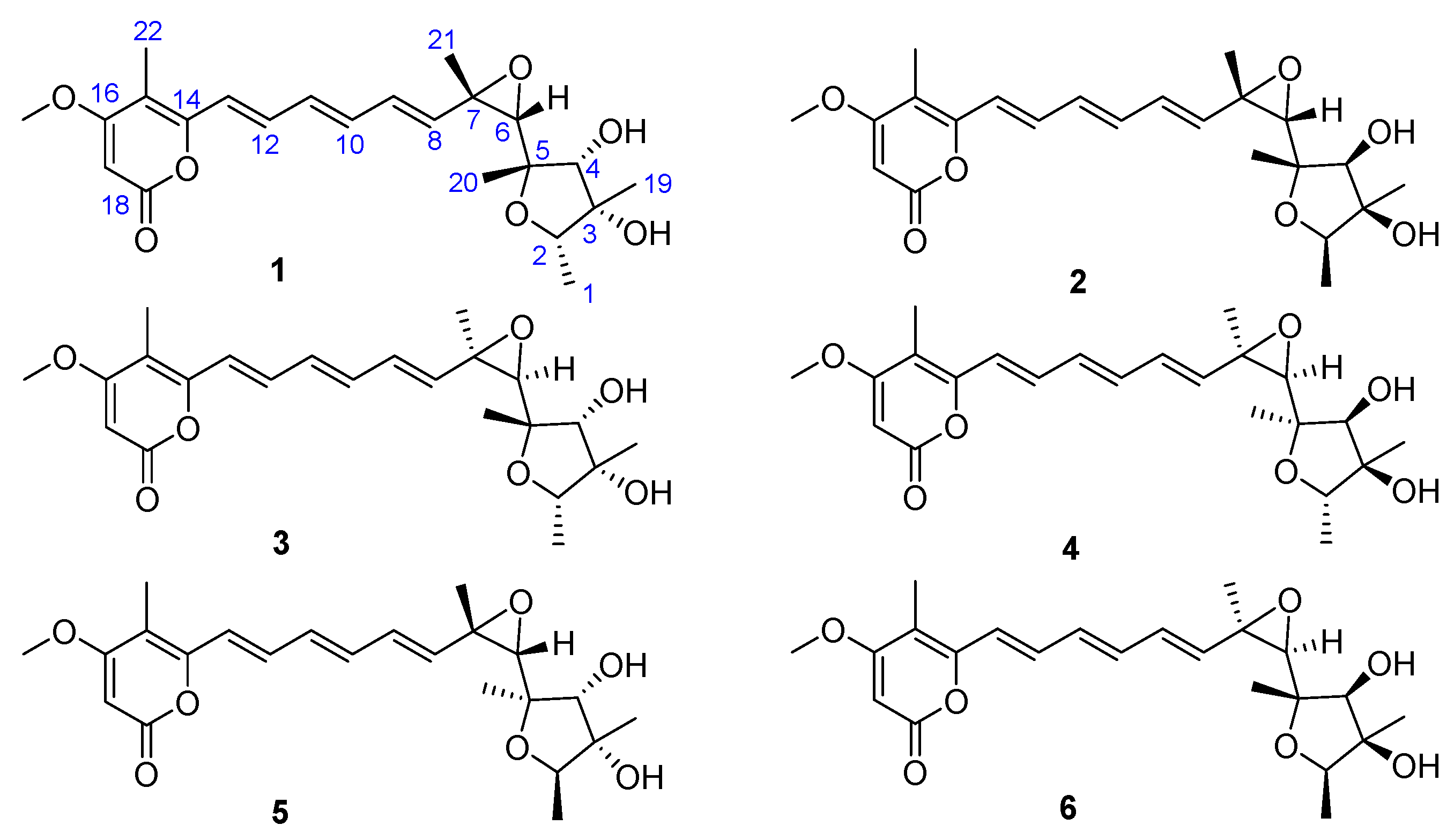 Marinedrugs 20 00736 g001