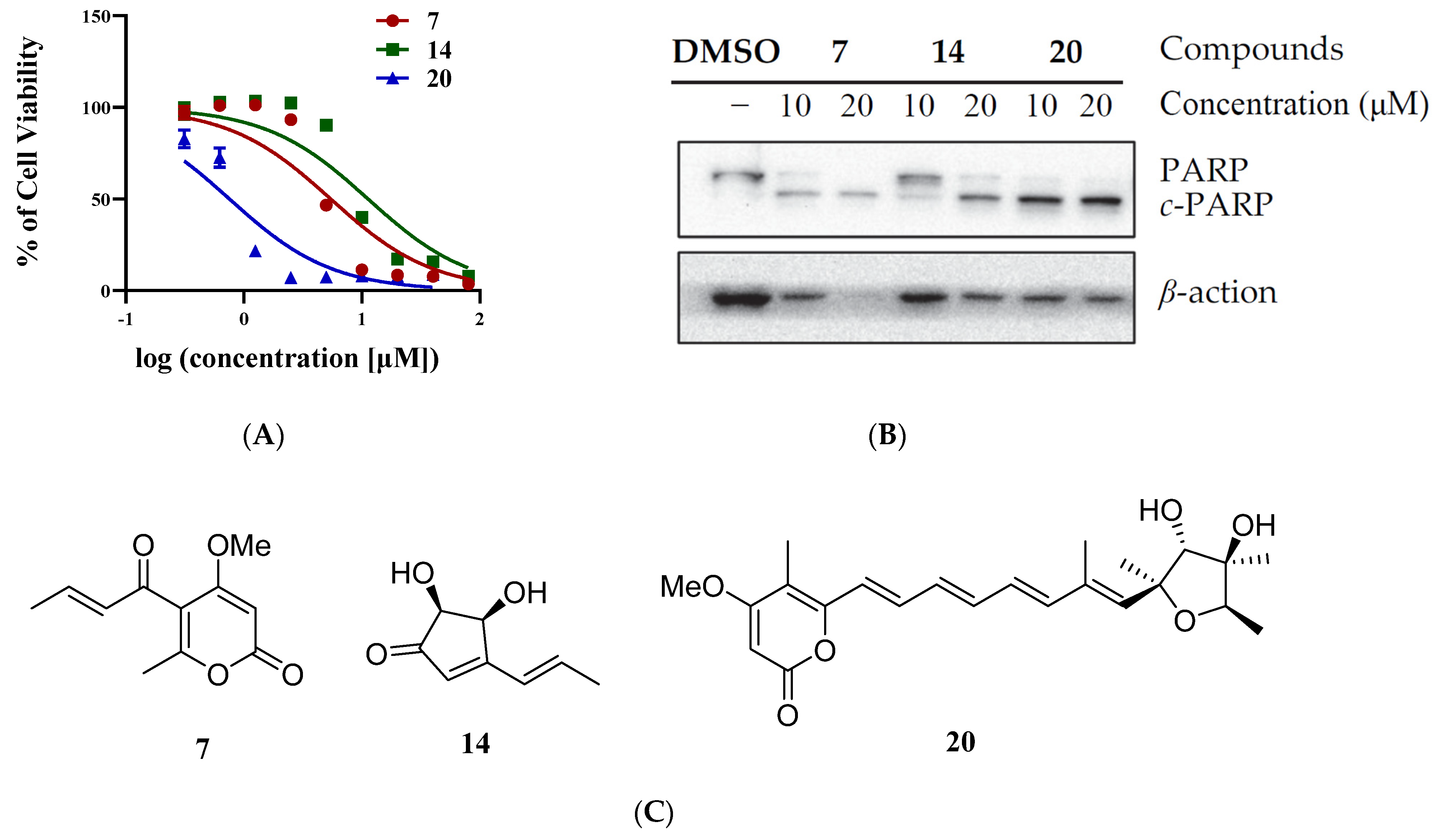 Marinedrugs 20 00736 g006