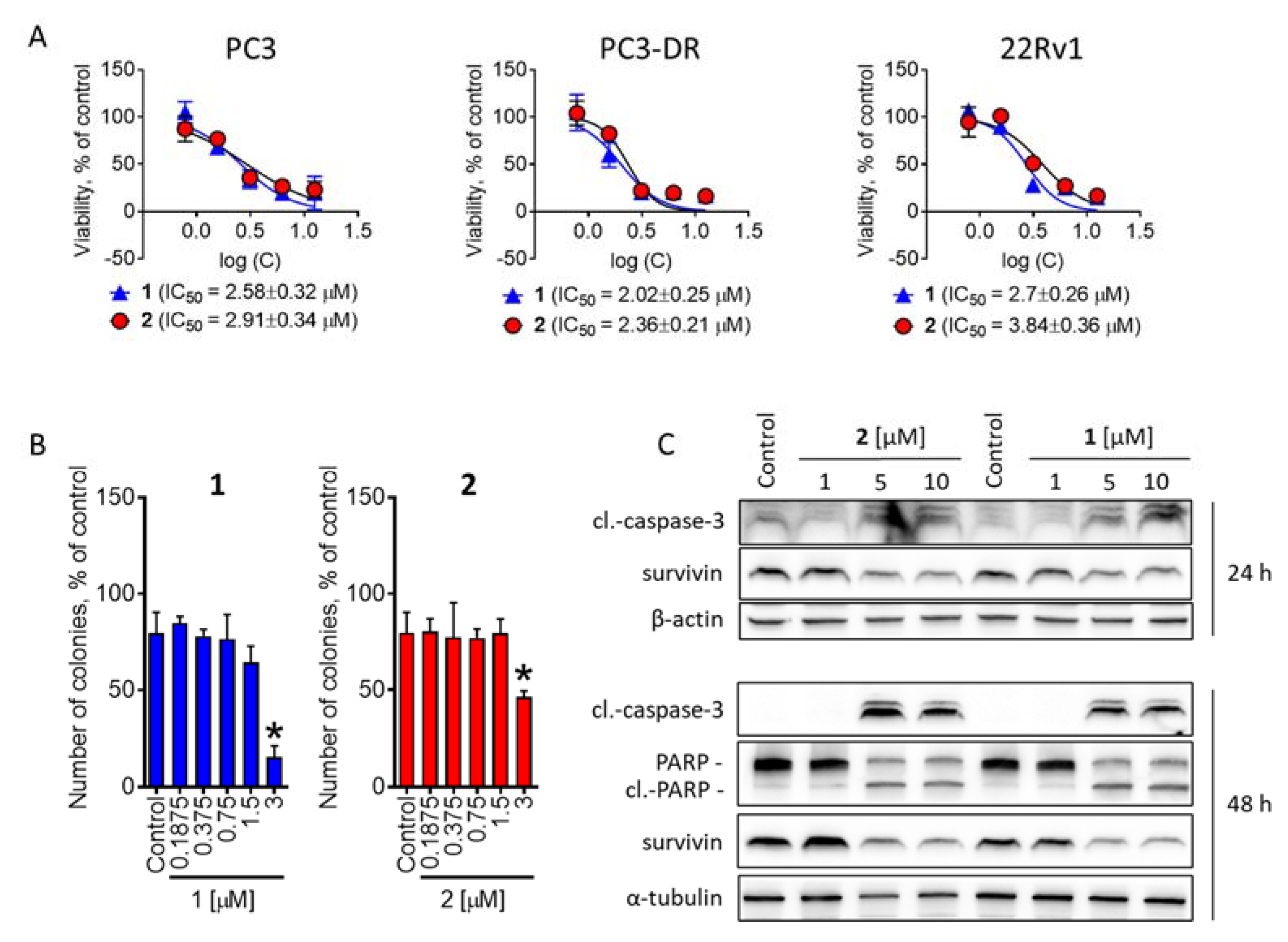 Marinedrugs 20 00738 g004 Marinedrugs 20 00738 g004