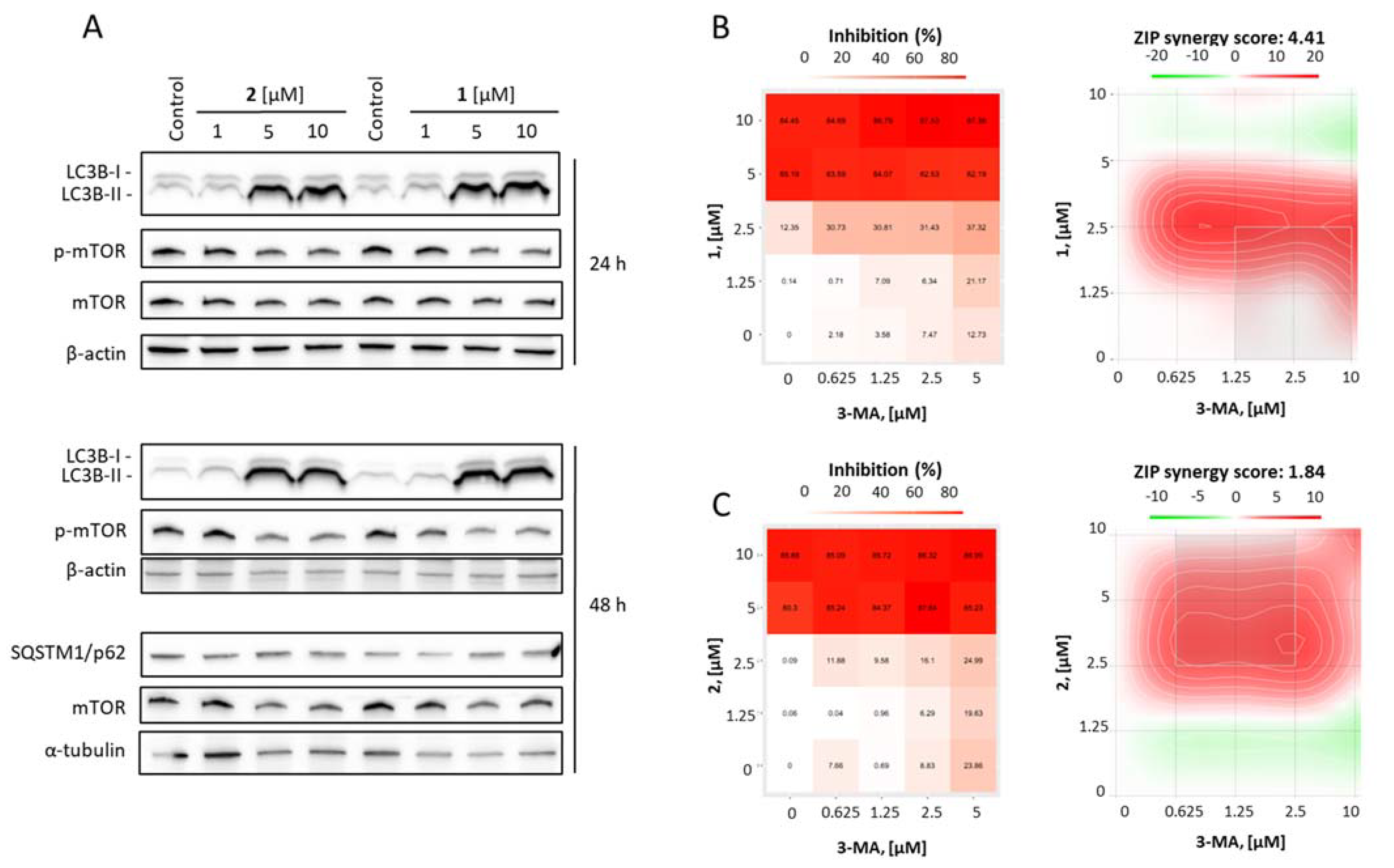 Marinedrugs 20 00738 g005 Marinedrugs 20 00738 g005