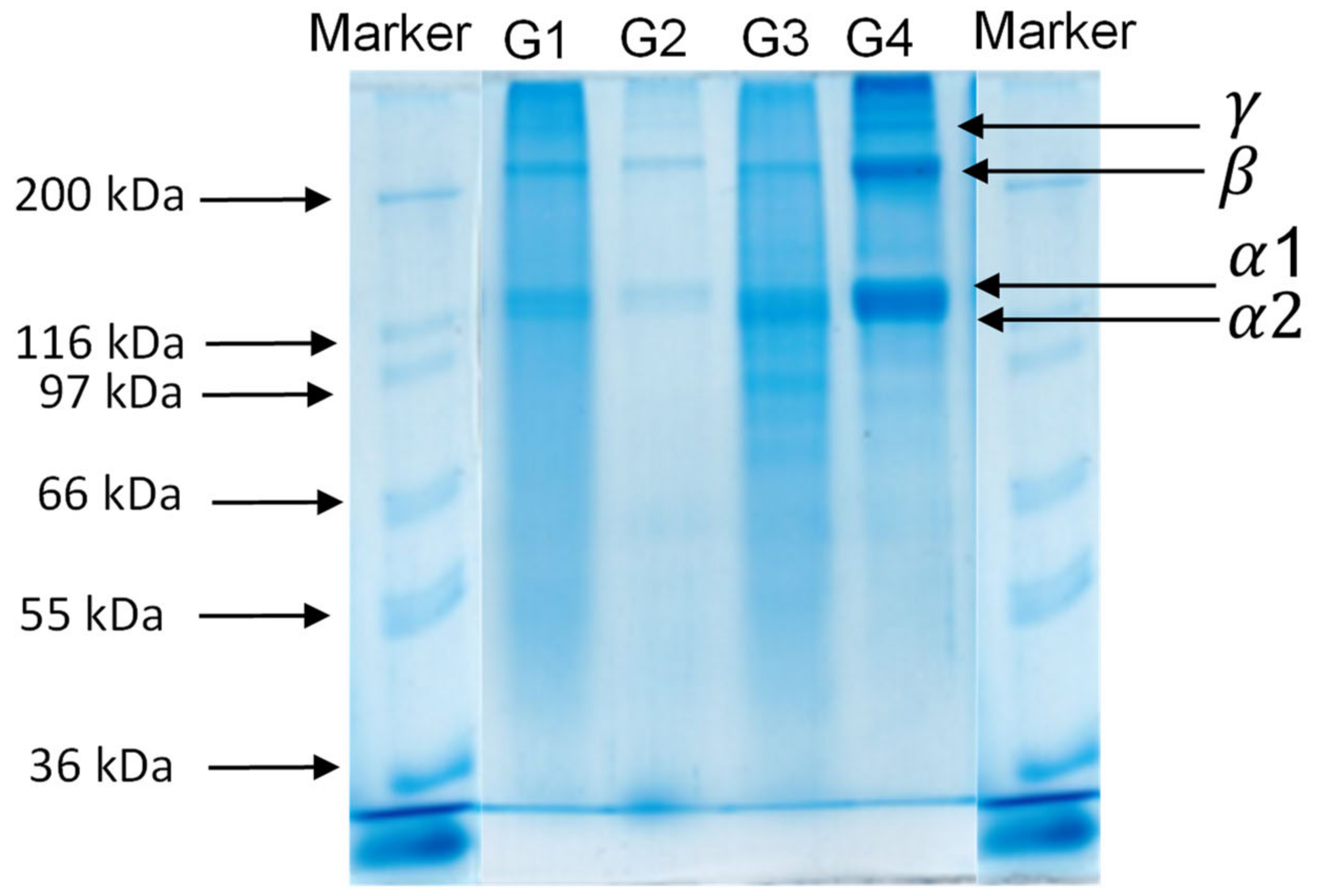 Marinedrugs 20 00739 g001 Marinedrugs 20 00739 g001