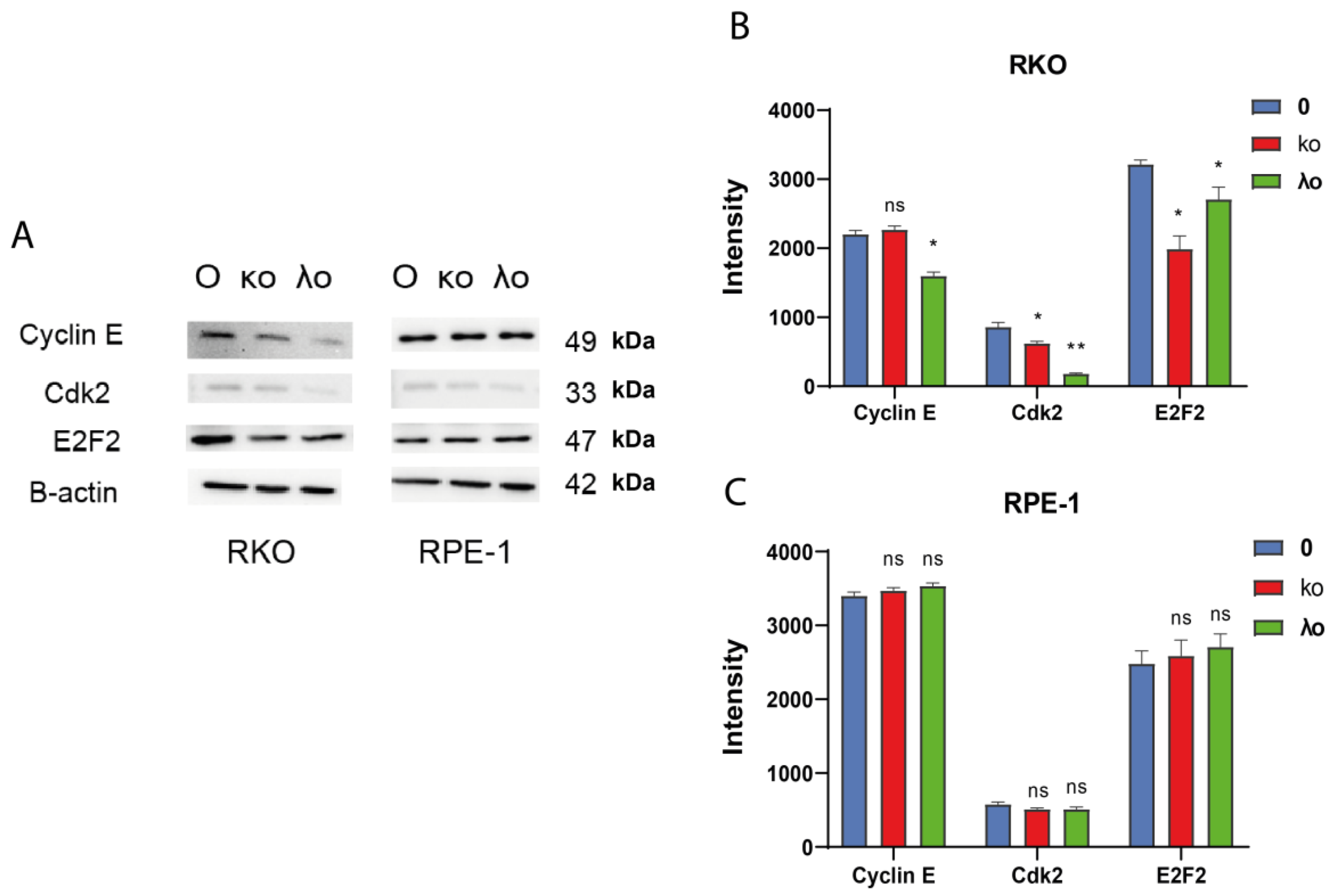 Marinedrugs 20 00741 g006 Marinedrugs 20 00741 g006