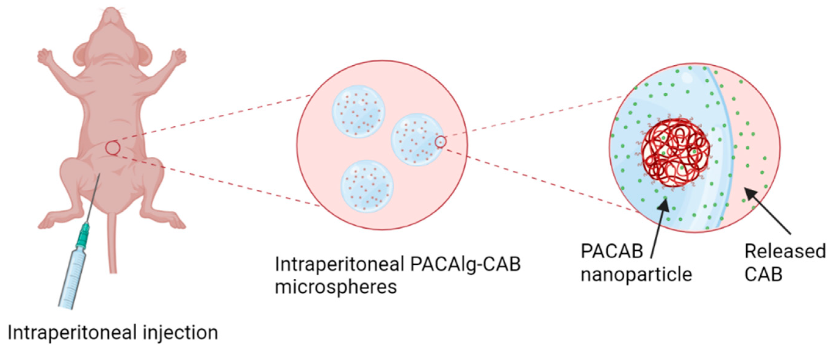 Marinedrugs 20 00744 g001