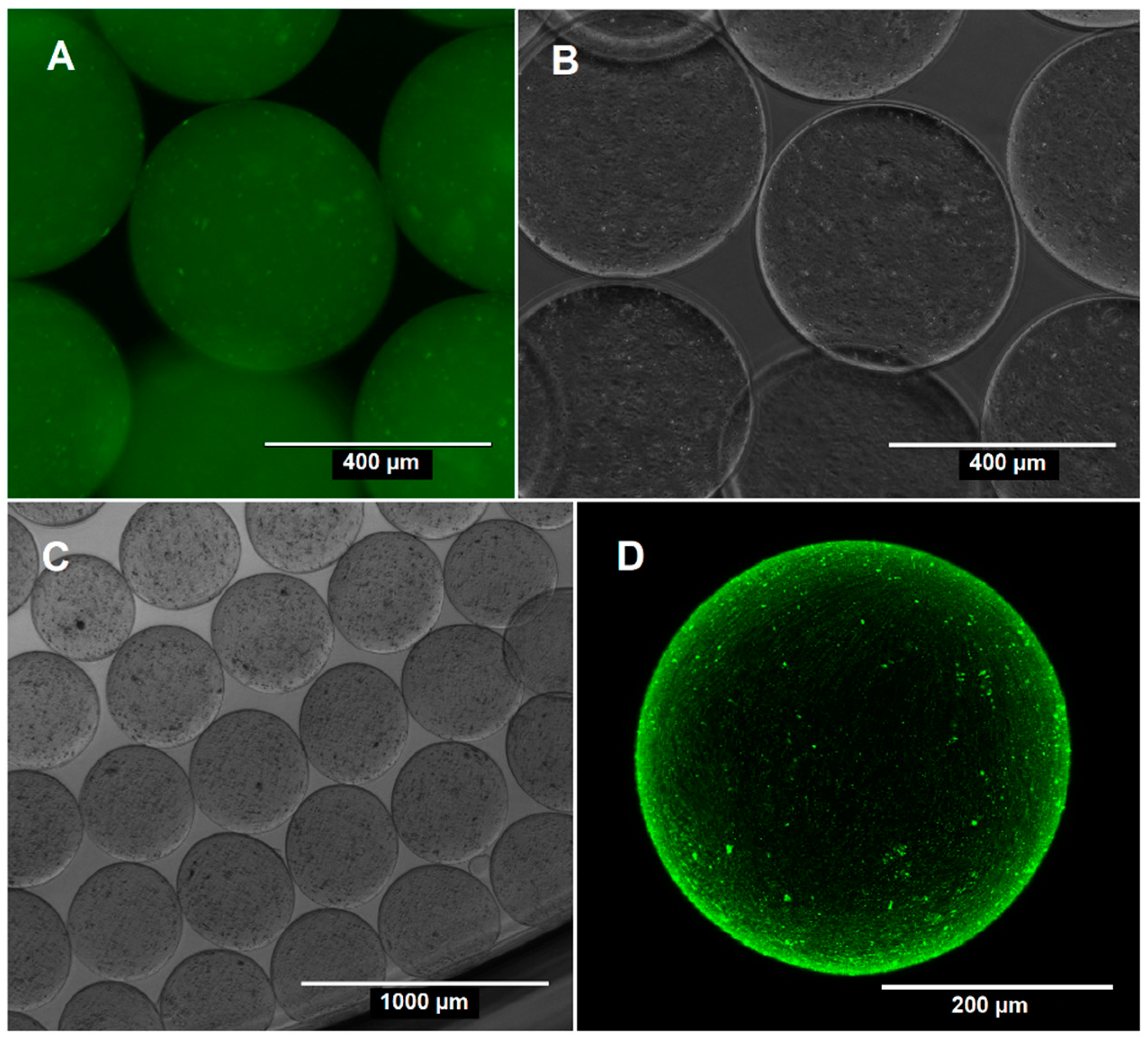 Marinedrugs 20 00744 g002