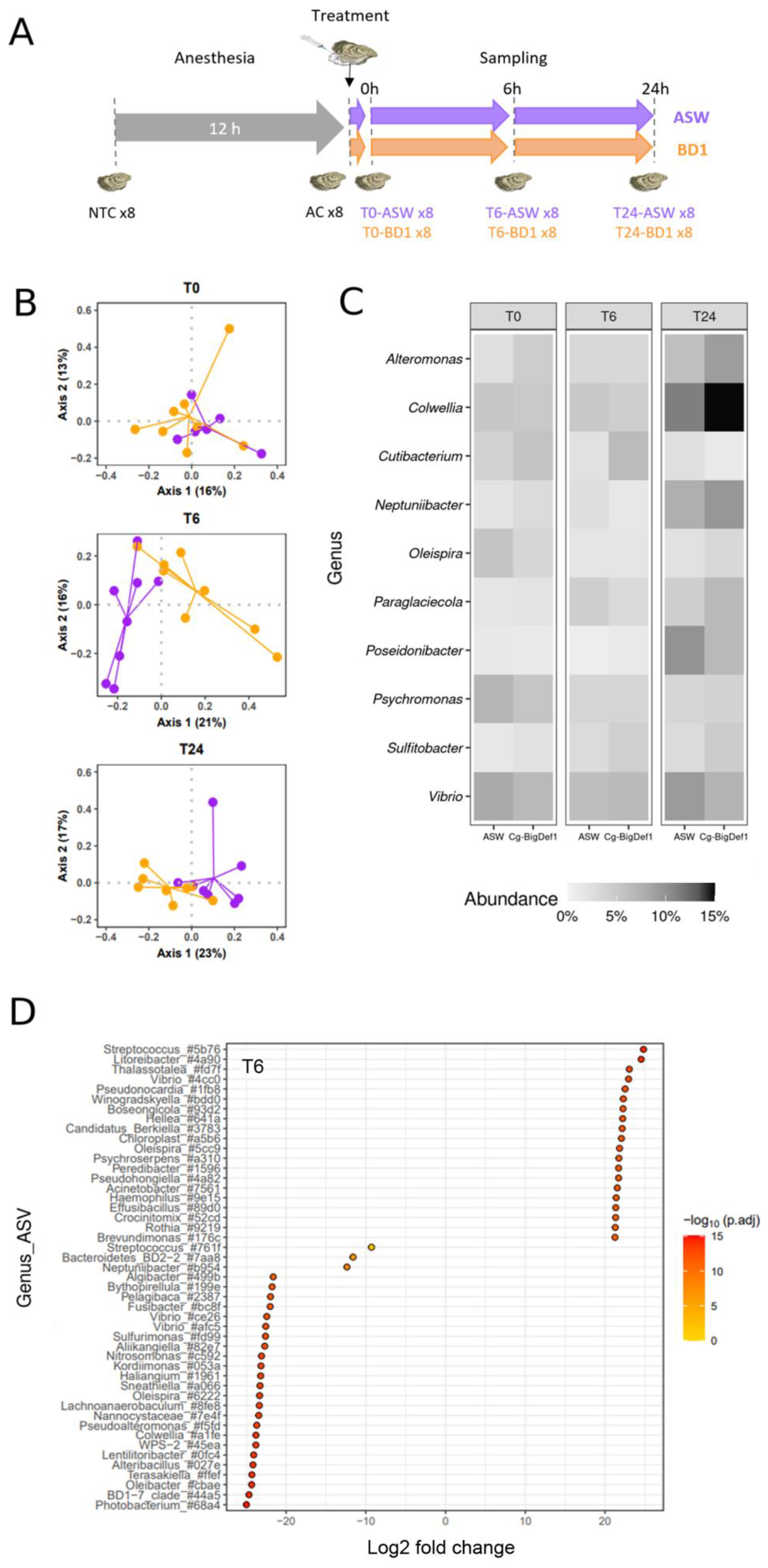 Marinedrugs 20 00745 g001