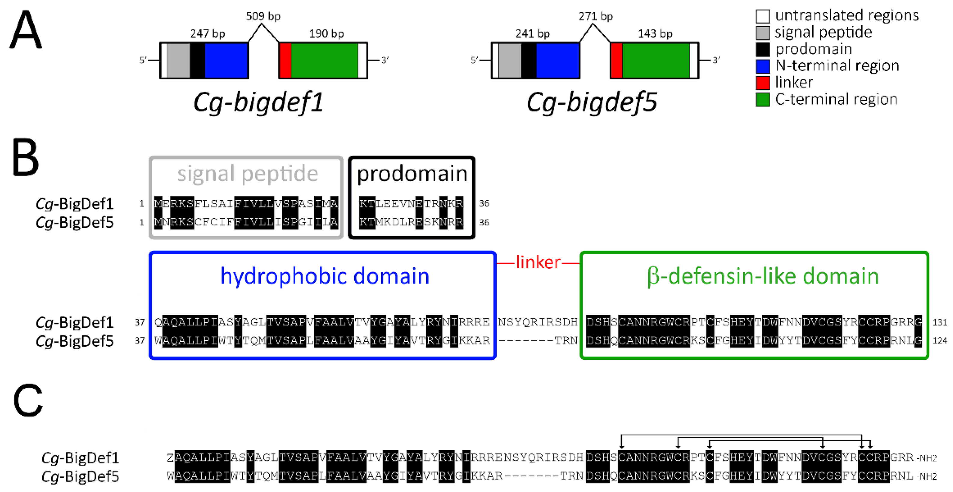 Marinedrugs 20 00745 g003