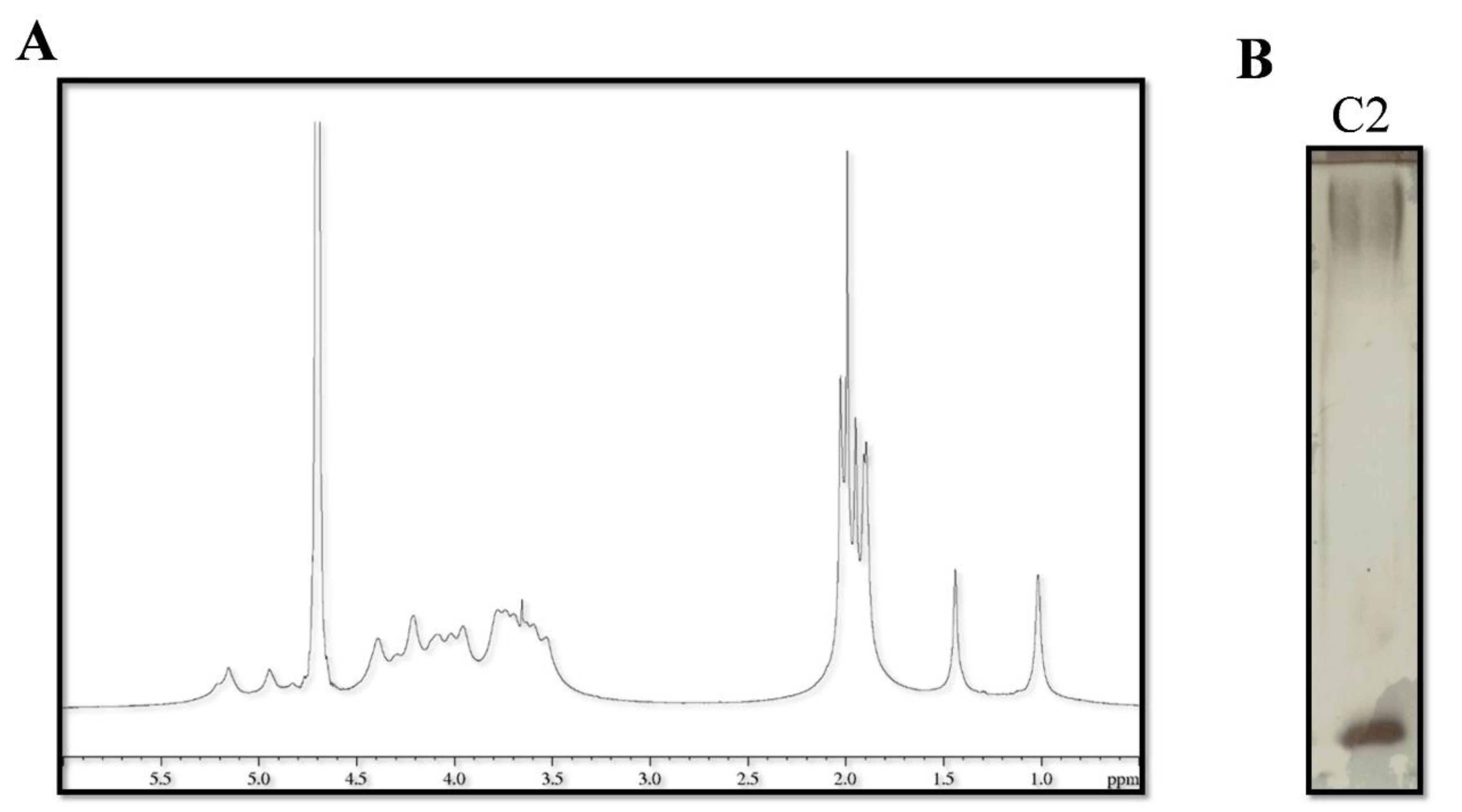 Marinedrugs 20 00747 g007 Marinedrugs 20 00747 g007