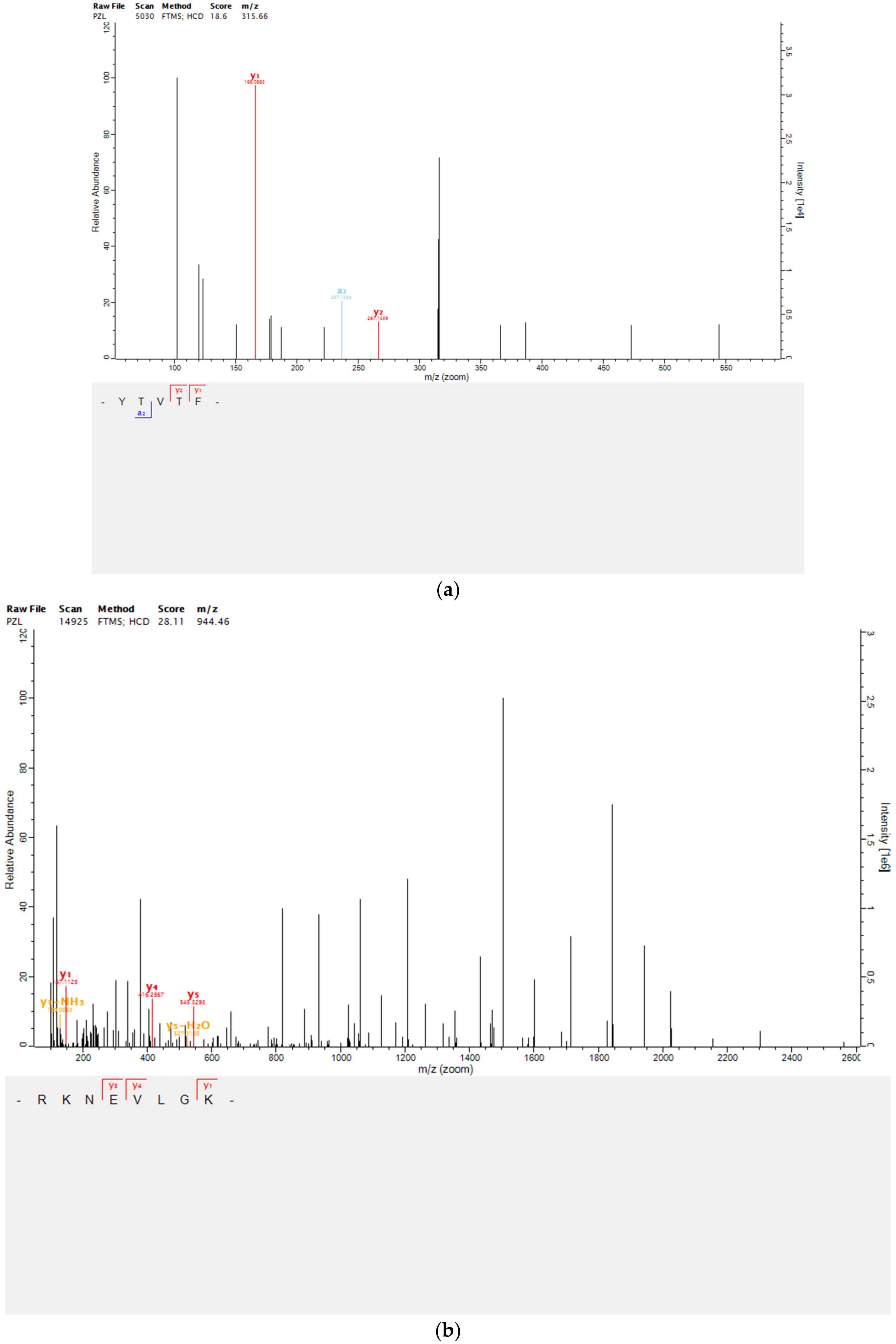 Marinedrugs 20 00749 g004a Marinedrugs 20 00749 g004a