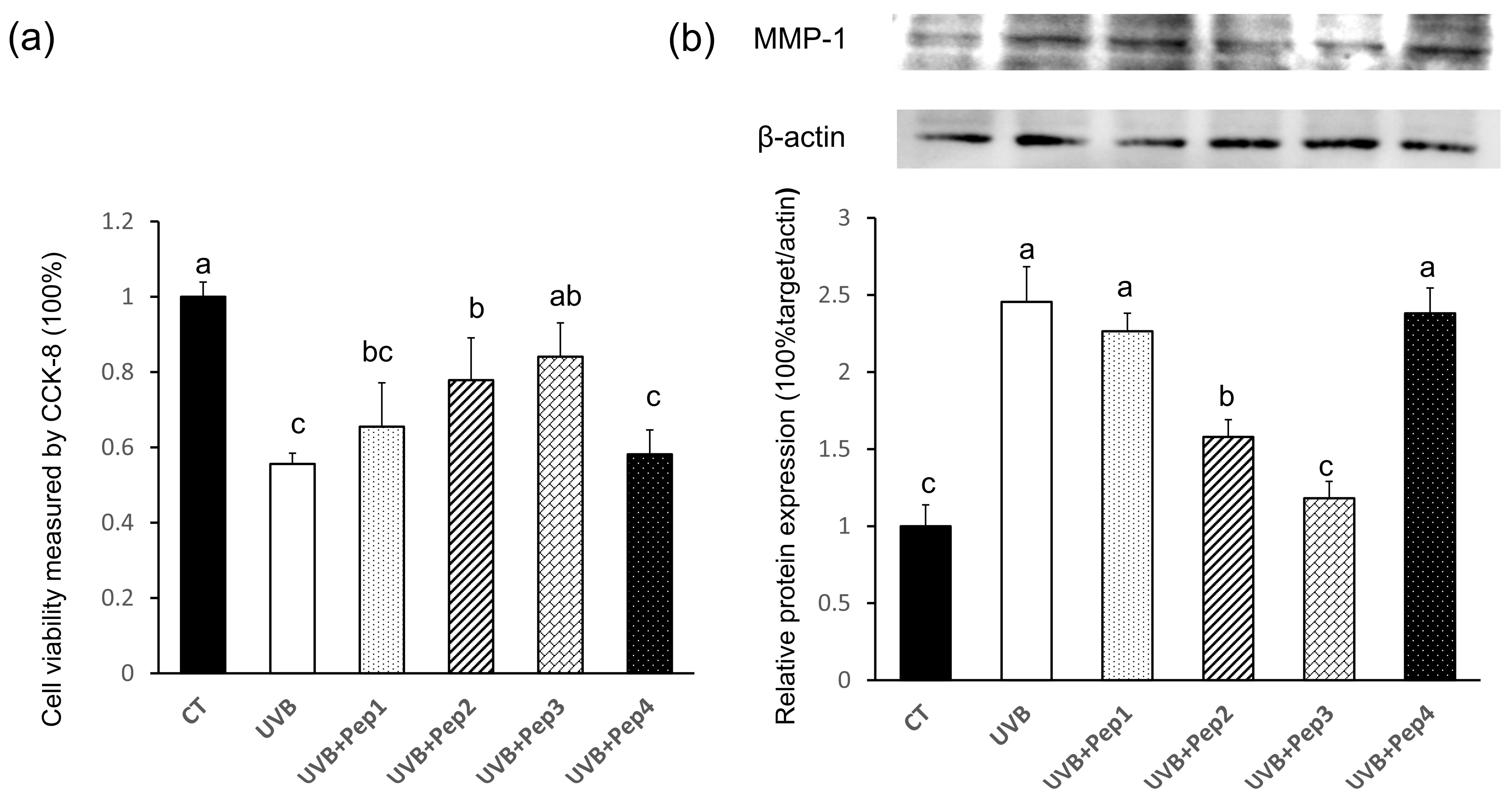 Marinedrugs 20 00749 g005 Marinedrugs 20 00749 g005