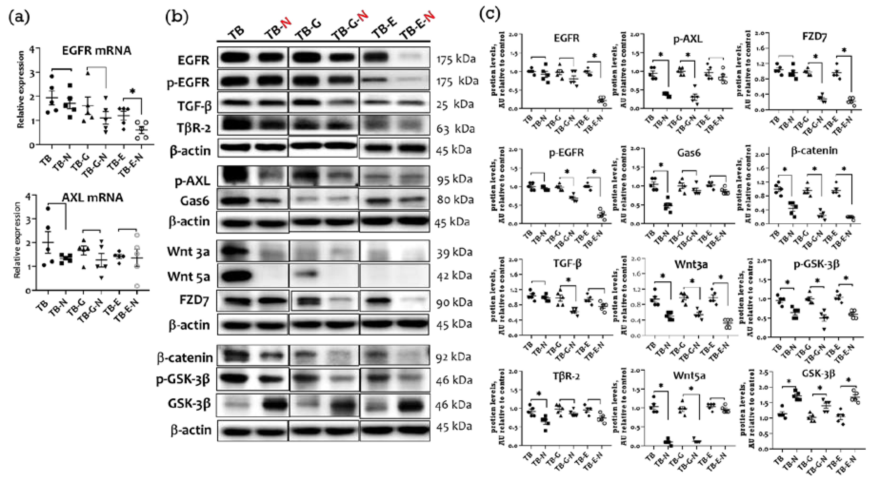 Marinedrugs 20 00751 g003 Marinedrugs 20 00751 g003