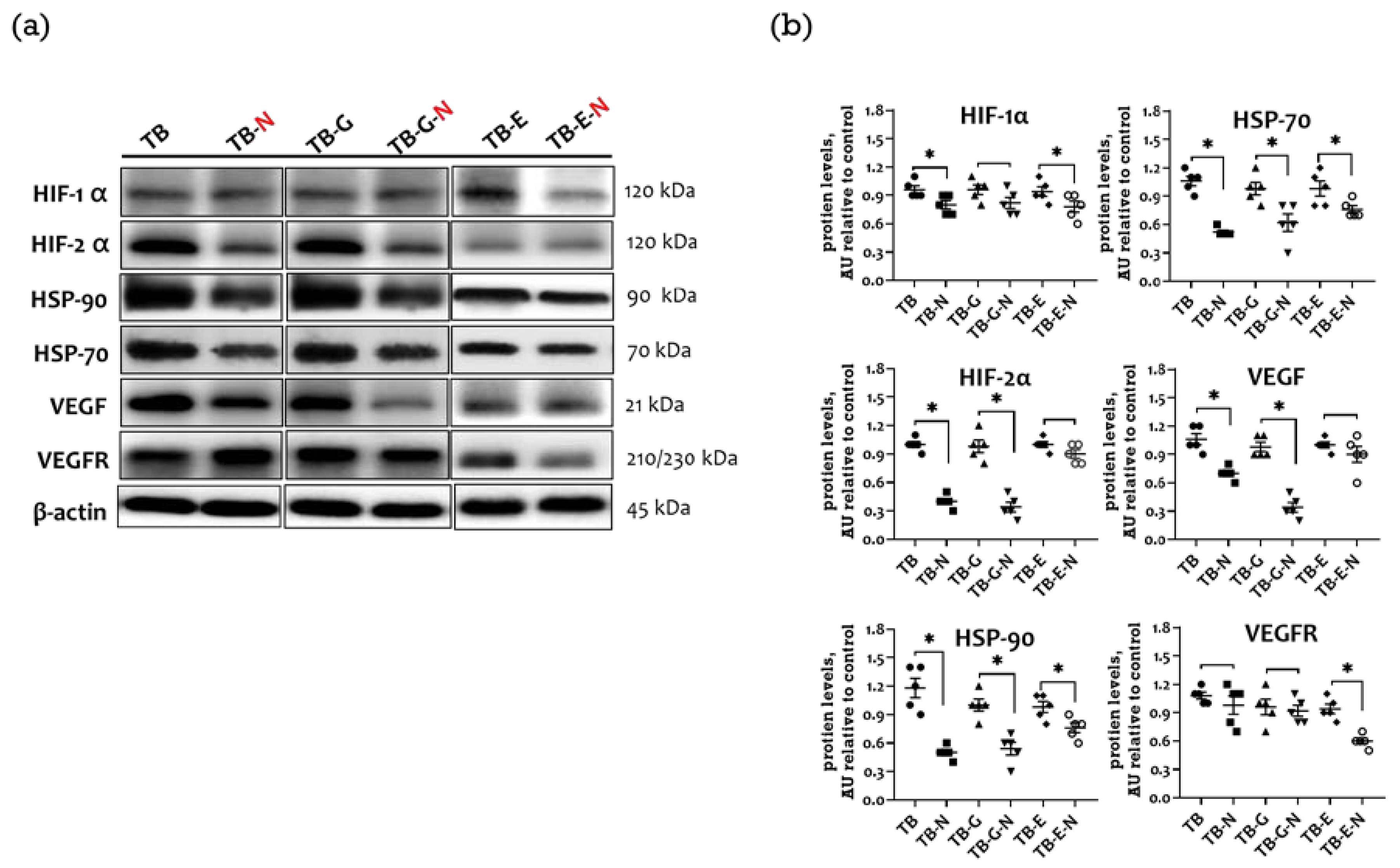 Marinedrugs 20 00751 g004 Marinedrugs 20 00751 g004