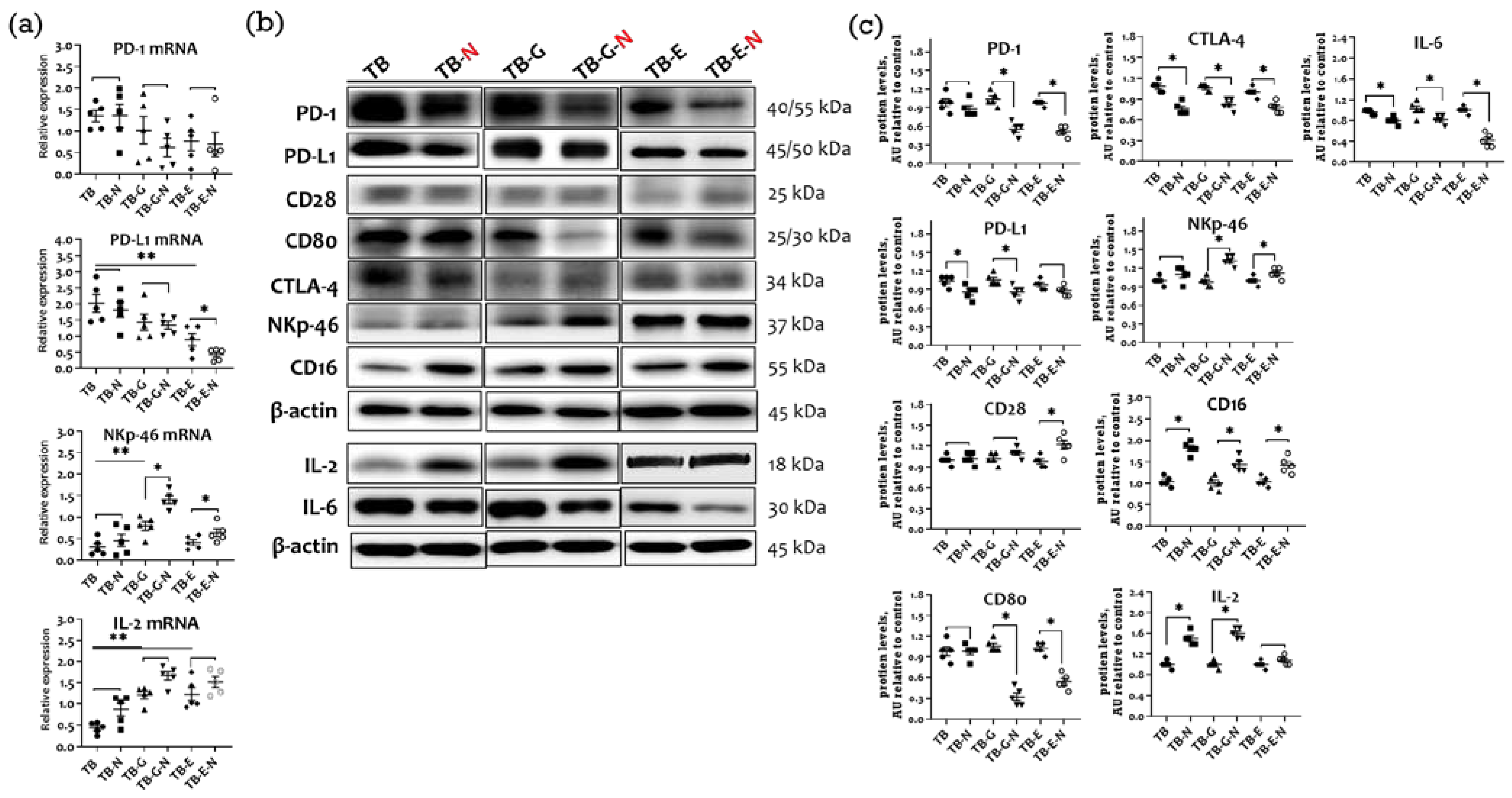 Marinedrugs 20 00751 g006 Marinedrugs 20 00751 g006