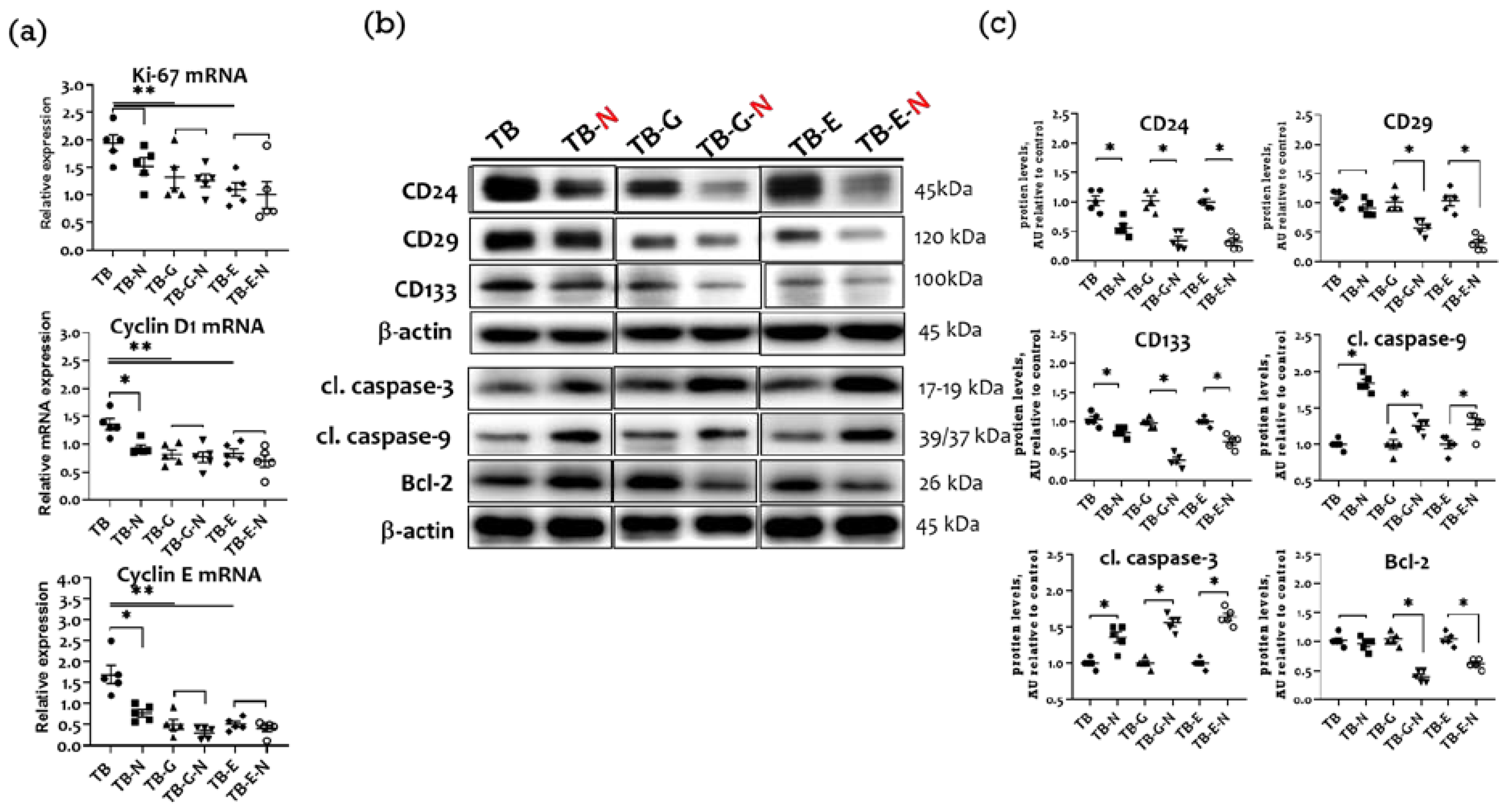 Marinedrugs 20 00751 g007 Marinedrugs 20 00751 g007