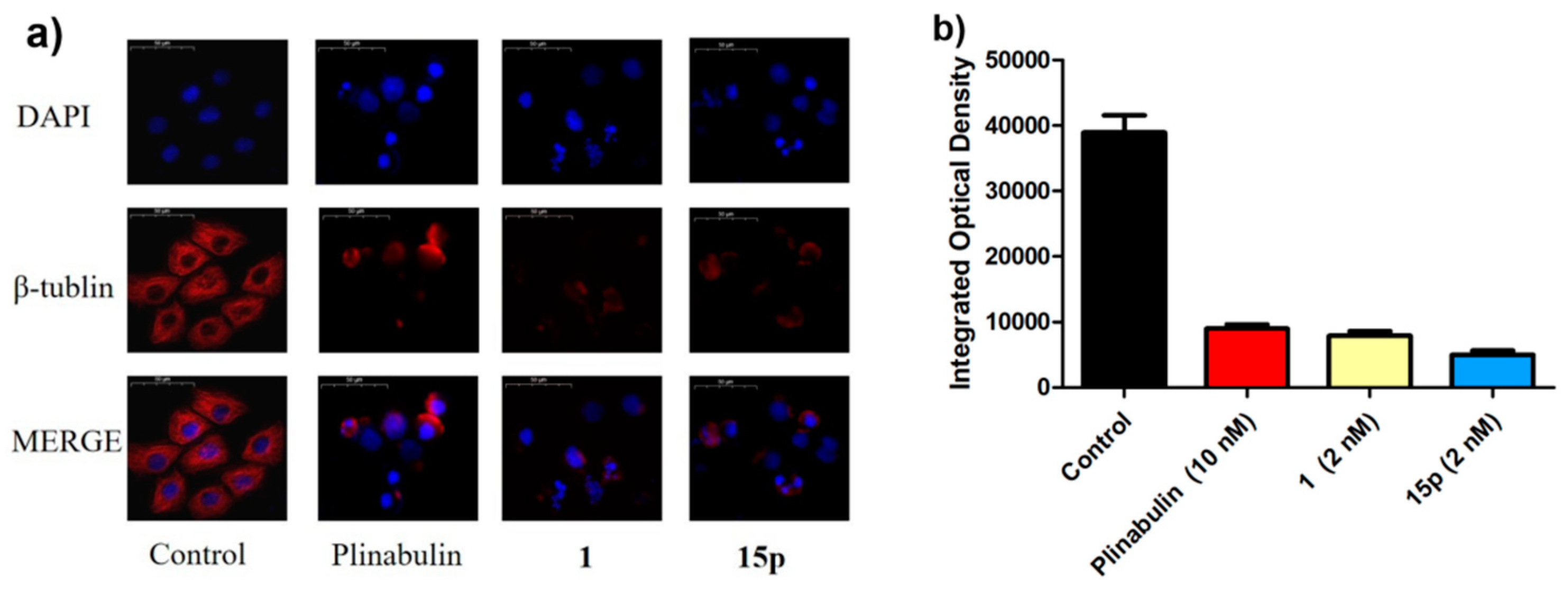 Marinedrugs 20 00752 g008 Marinedrugs 20 00752 g008