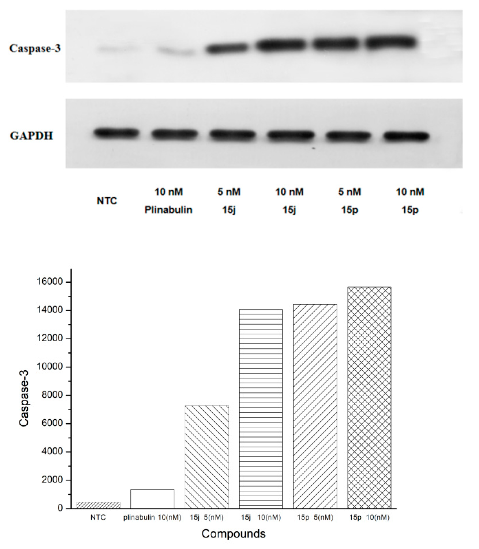 Marinedrugs 20 00752 g009 Marinedrugs 20 00752 g009