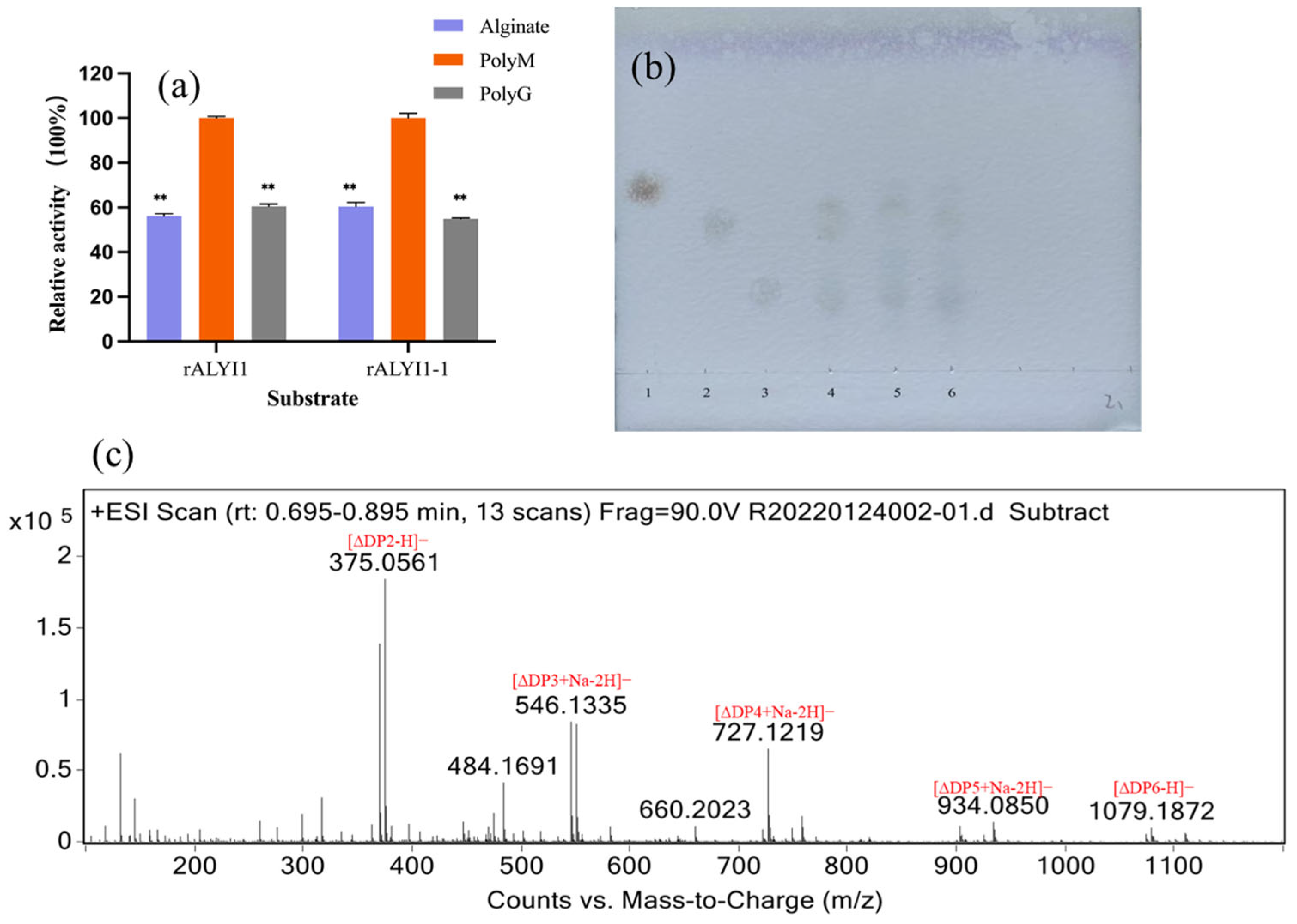 Marinedrugs 20 00753 g005 Marinedrugs 20 00753 g005