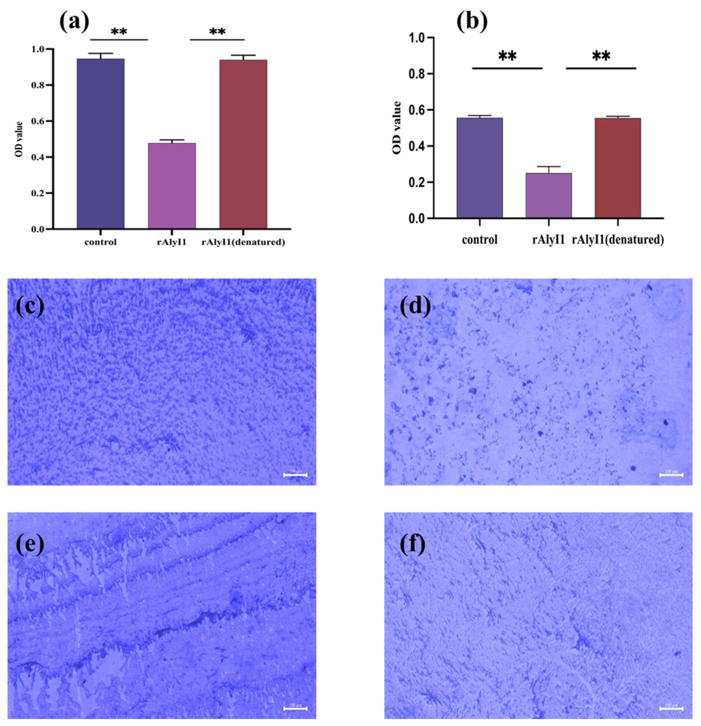 Marinedrugs 20 00753 g006 Marinedrugs 20 00753 g006