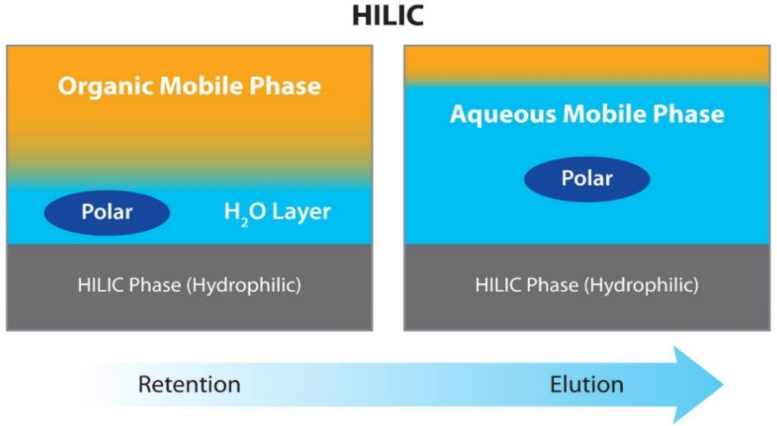 Marinedrugs 20 00754 g003