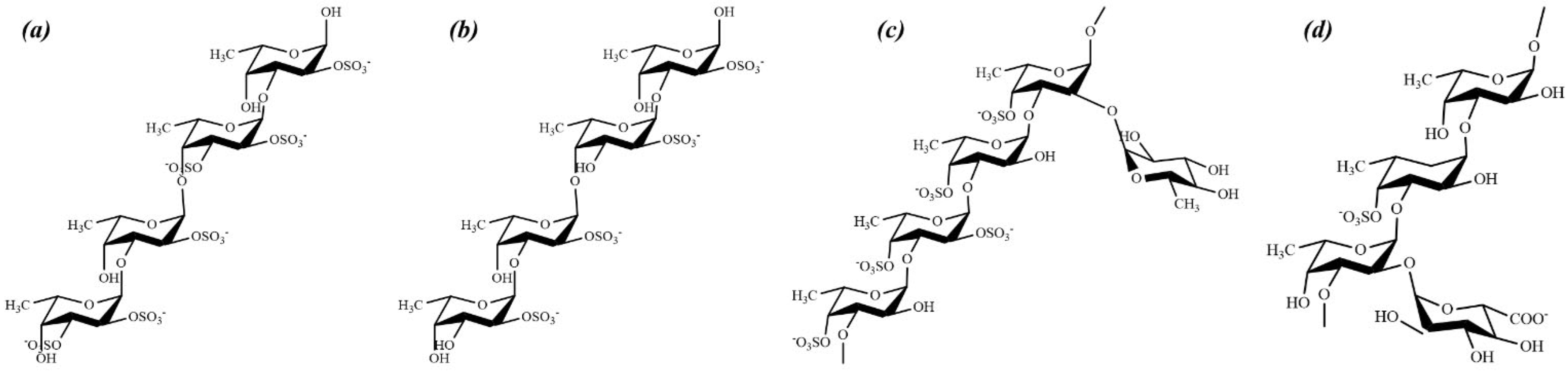 Marinedrugs 20 00755 g001 Marinedrugs 20 00755 g001
