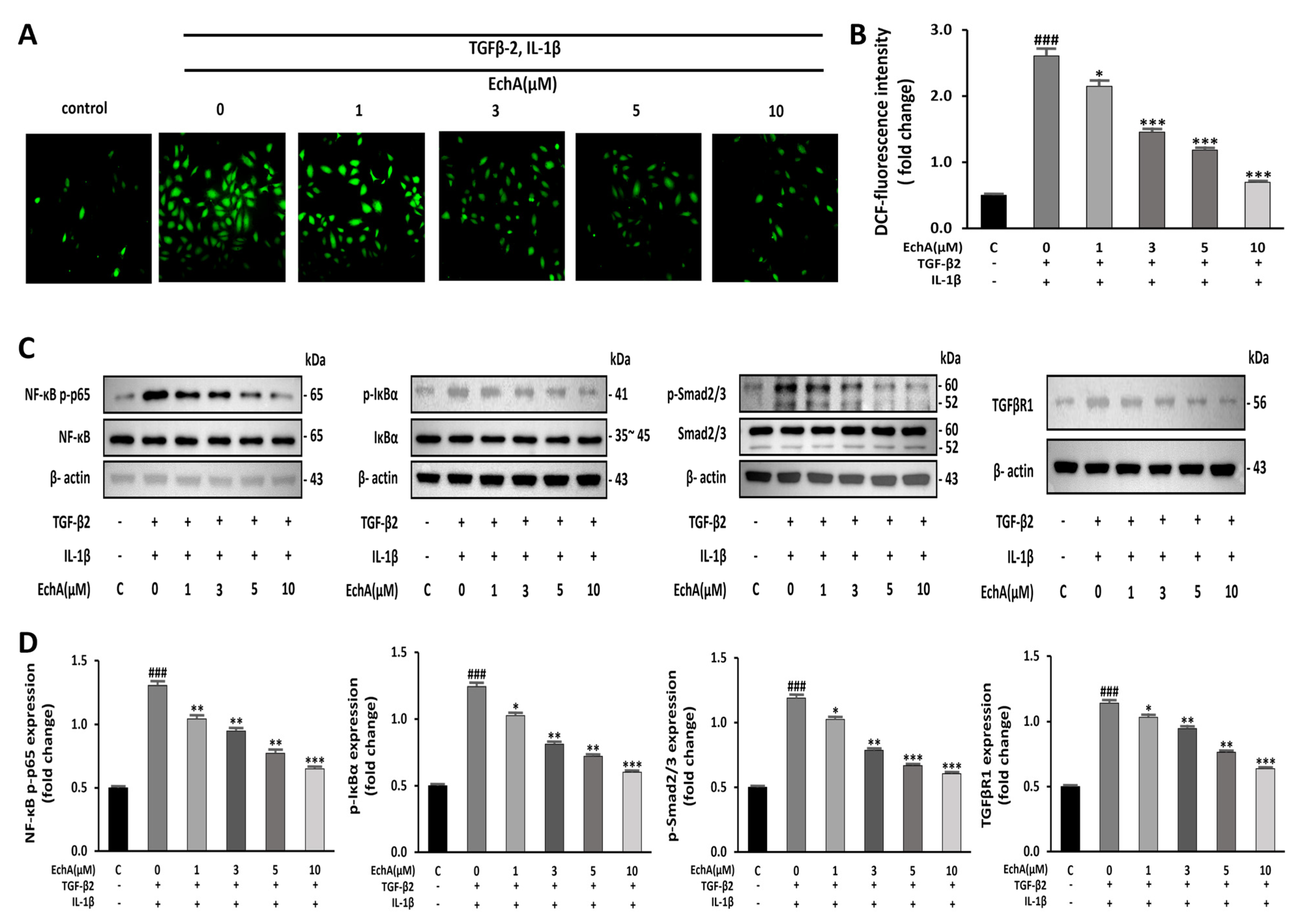 Marinedrugs 20 00756 g003