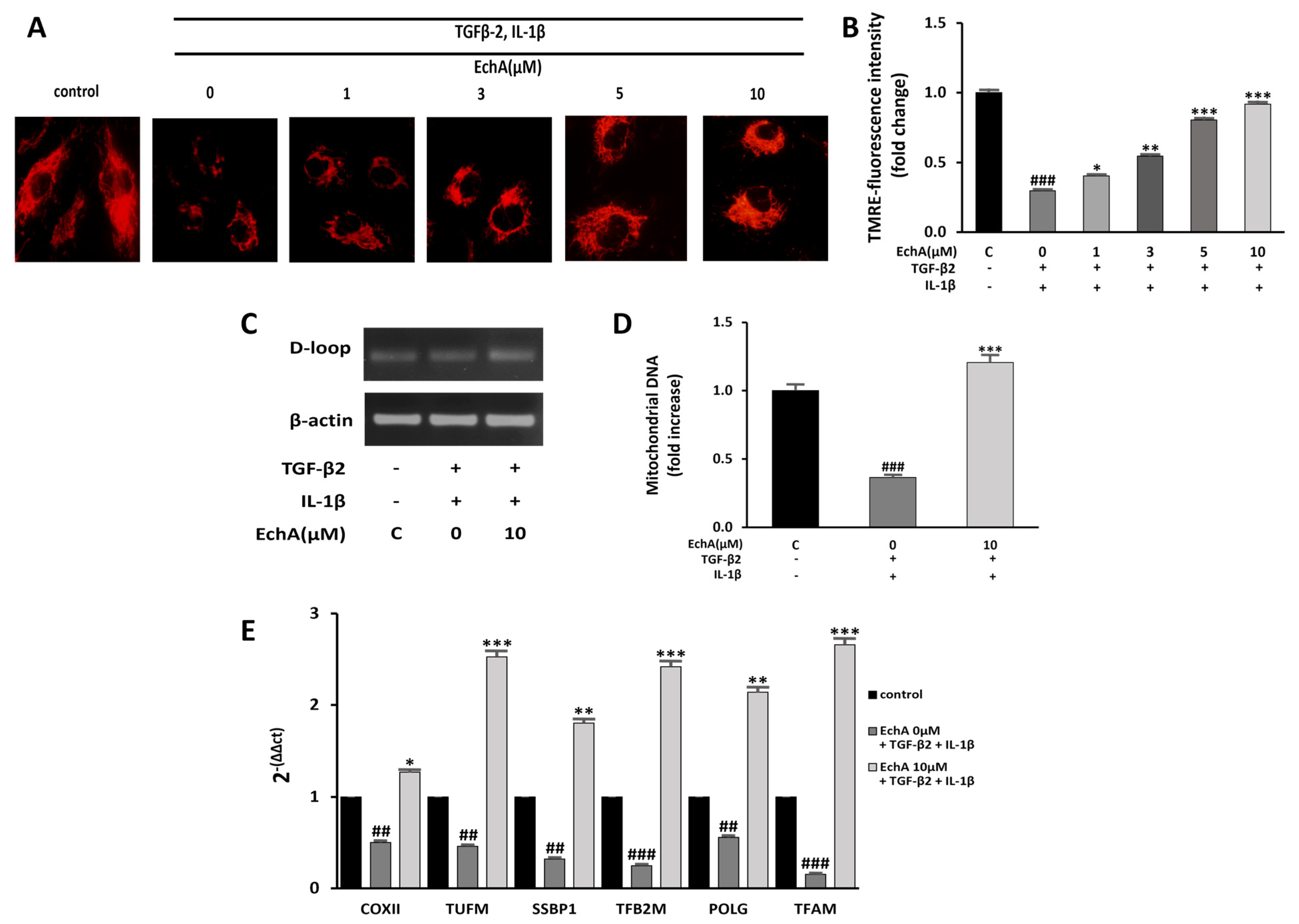 Marinedrugs 20 00756 g004