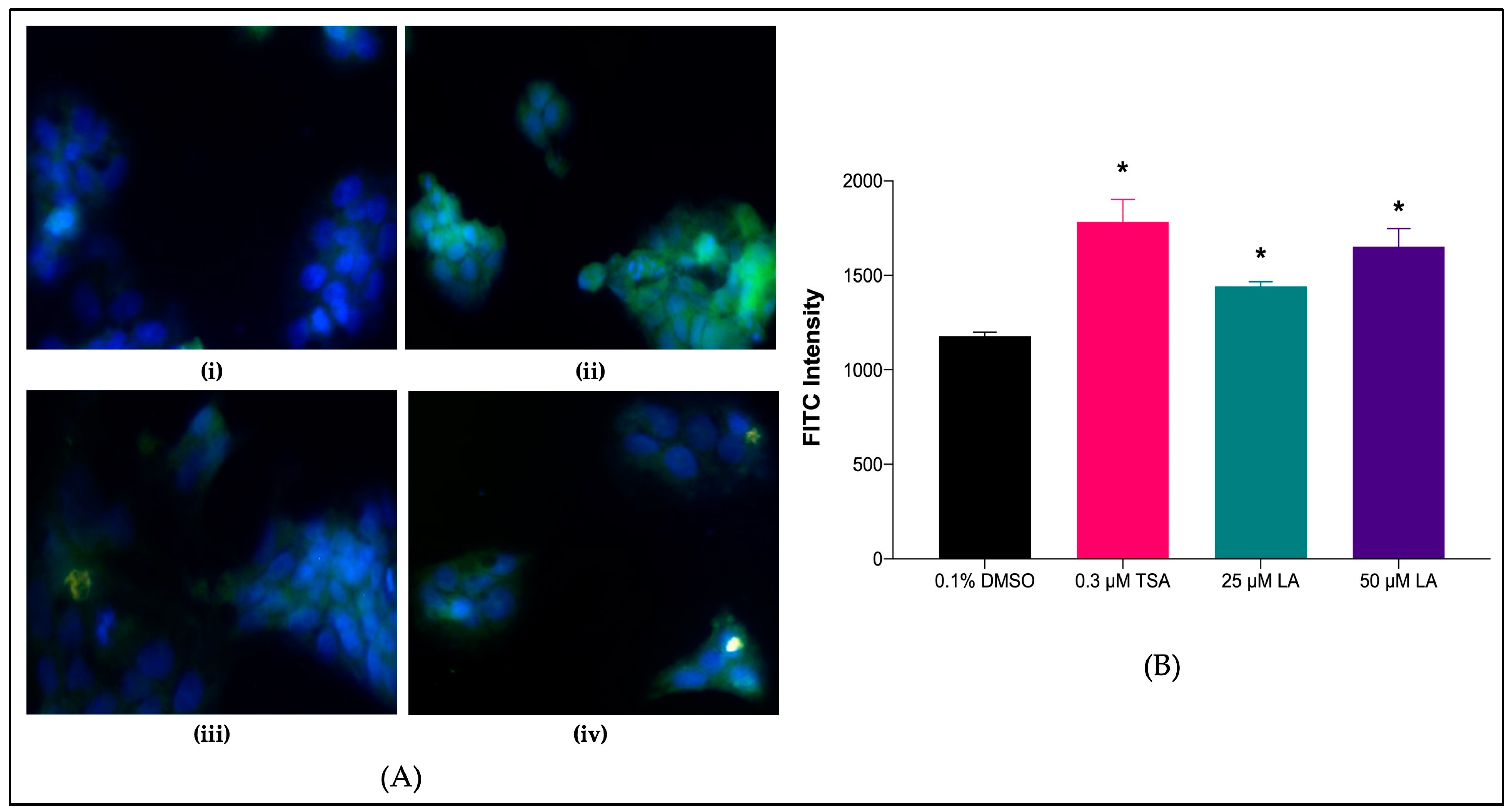 Marinedrugs 20 00762 g007