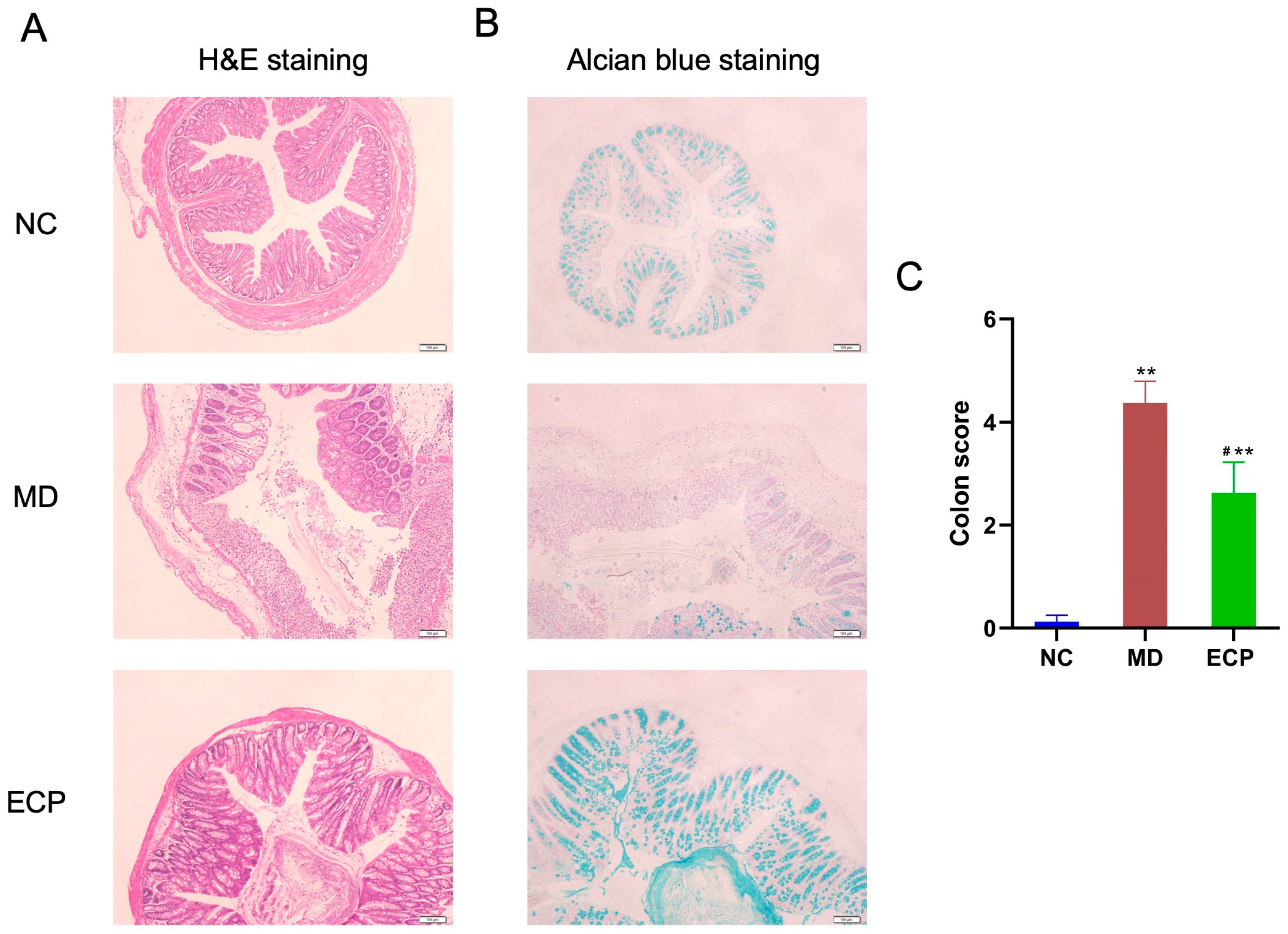 Marinedrugs 20 00764 g002 Marinedrugs 20 00764 g002