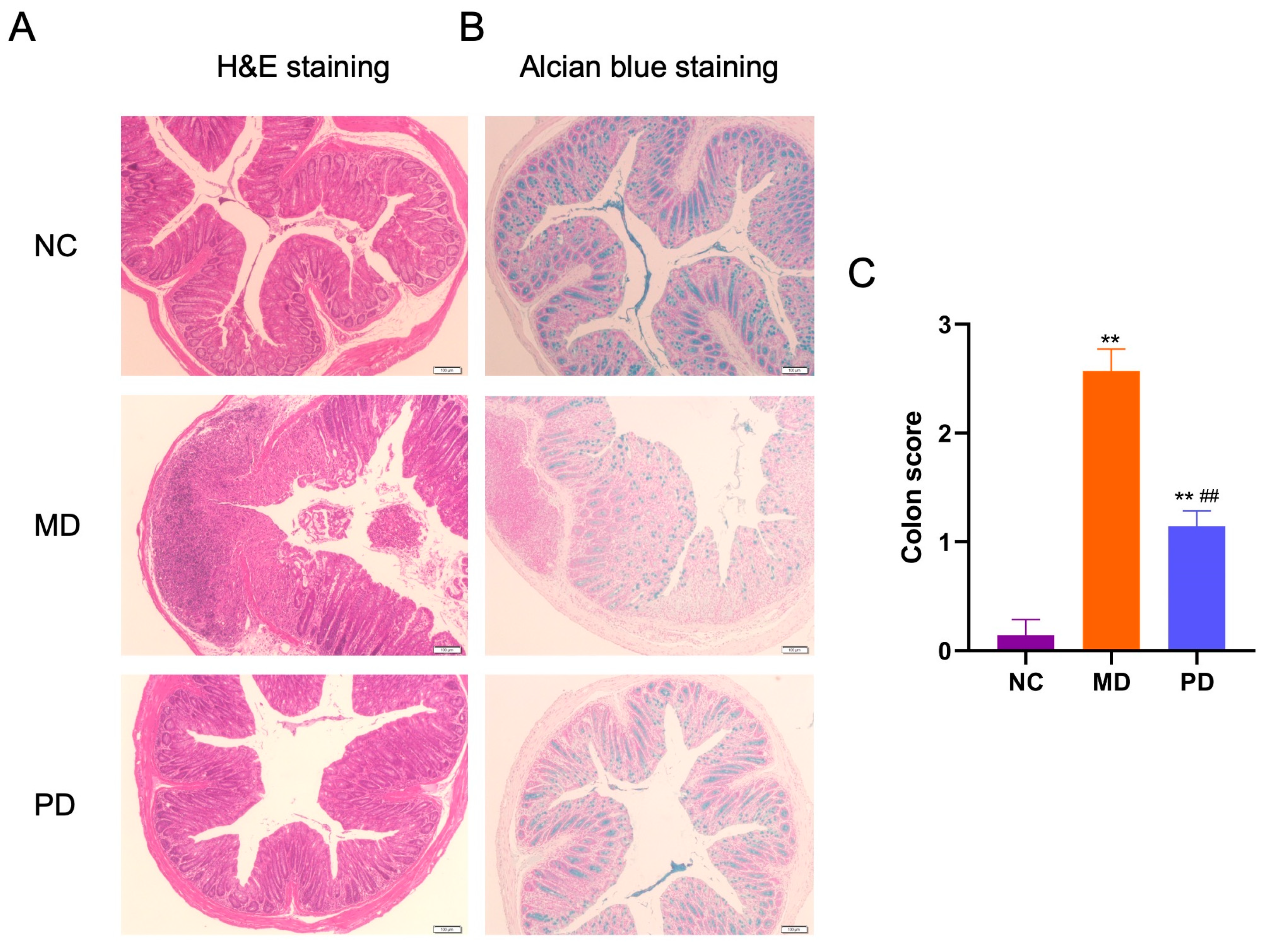 Marinedrugs 20 00764 g008 Marinedrugs 20 00764 g008